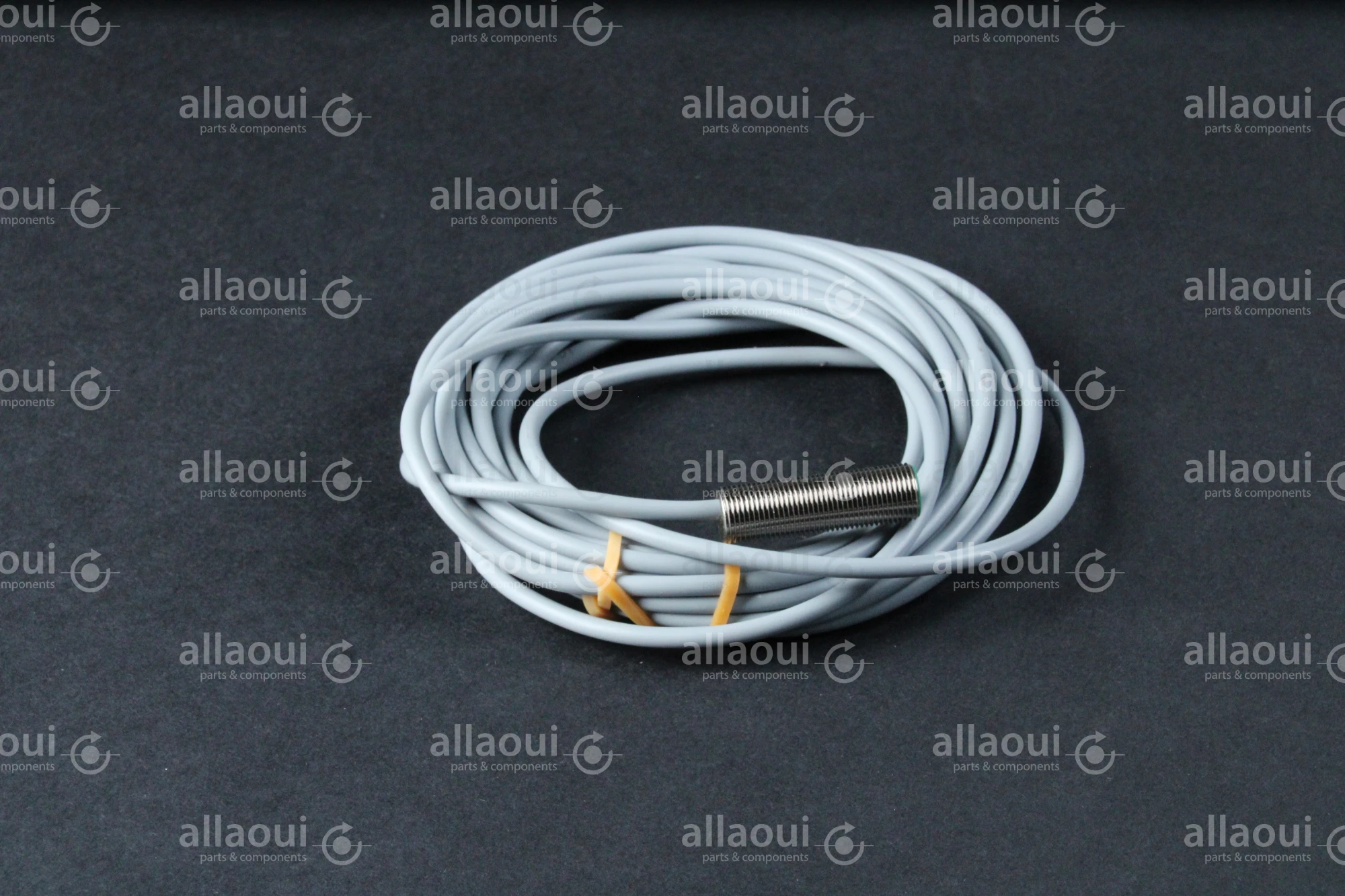 Baumer Inductive Sensor IFRM 12P17/404919