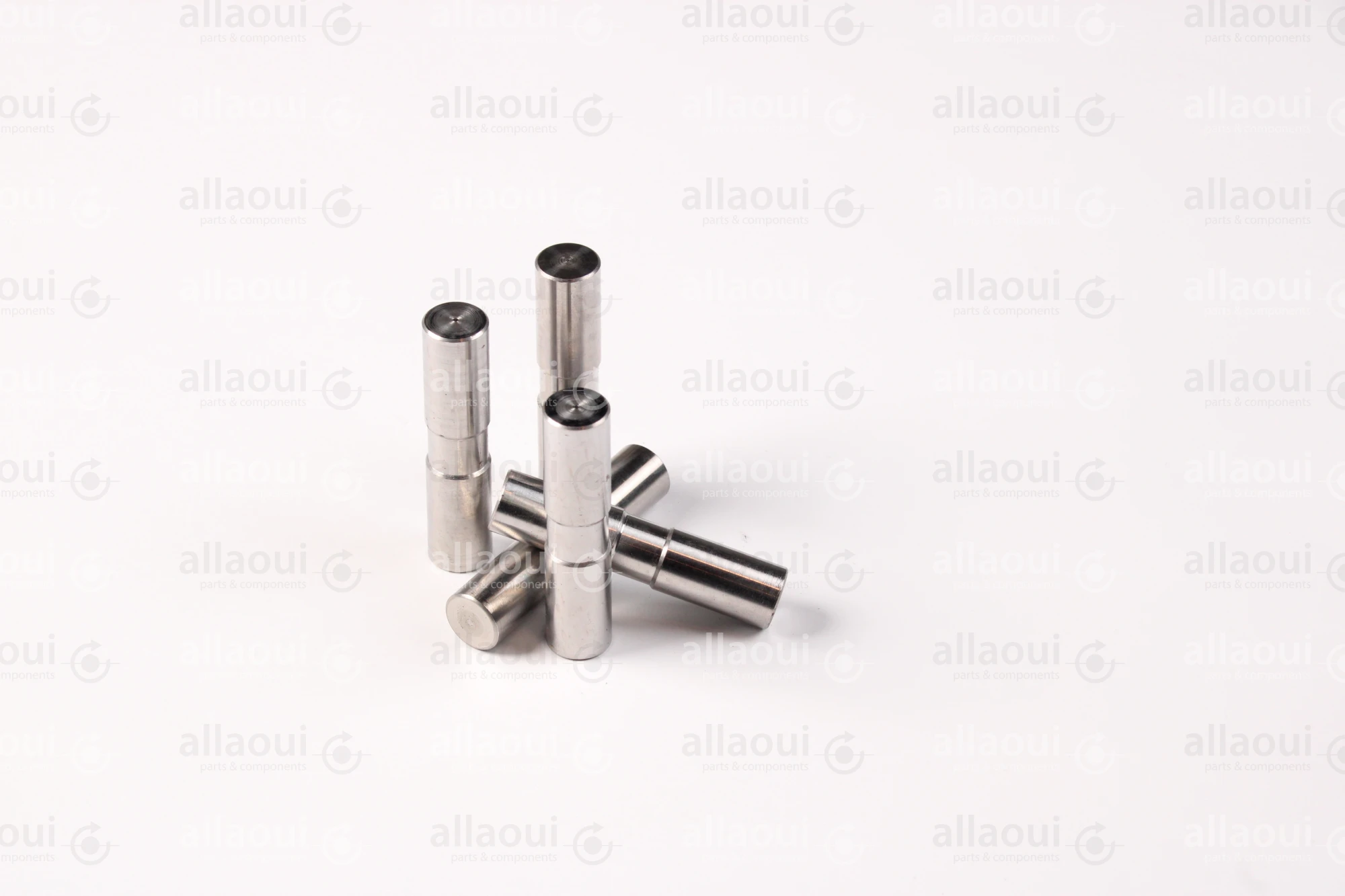 Ferag Axis (5 pieces) 31182226