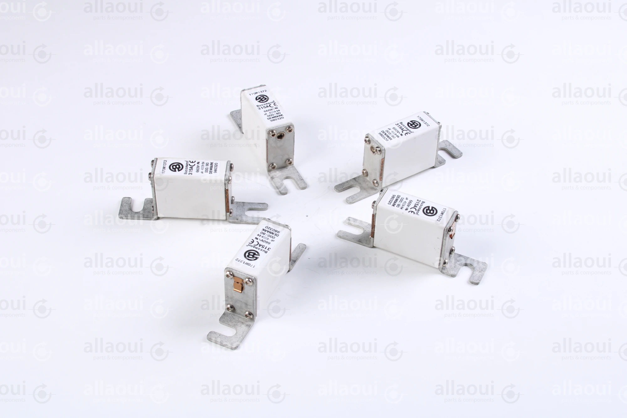 Bussmann Fuse 315A 660V (5 Pieces) 170 M 1372