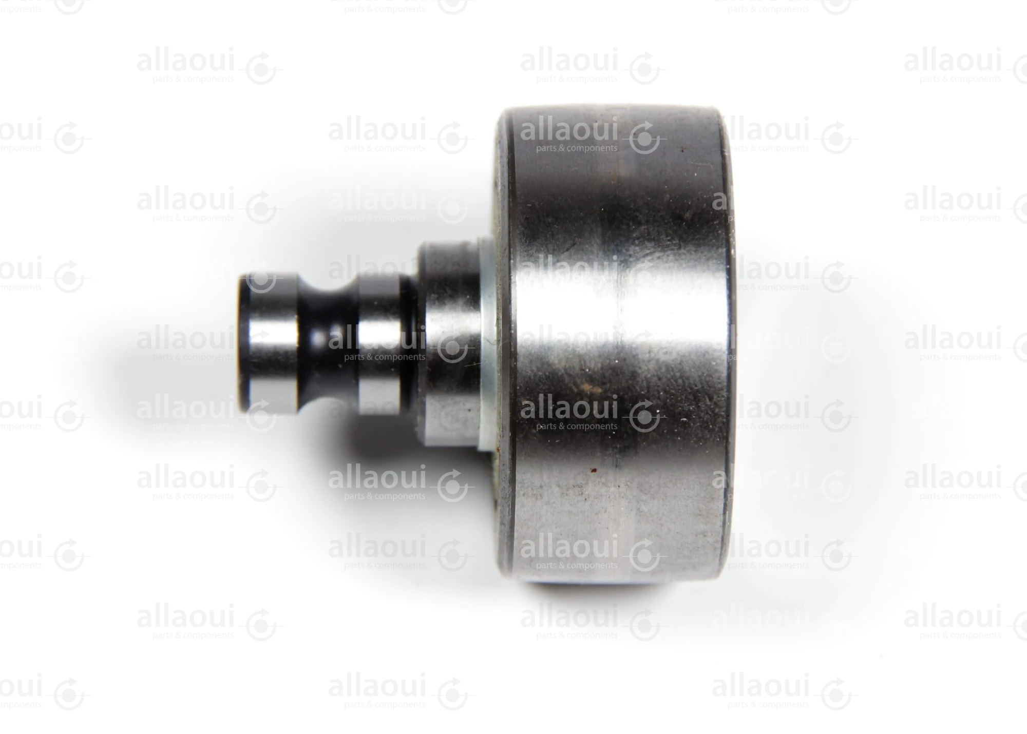 INA Tension Pulley F-231417.04.BSR