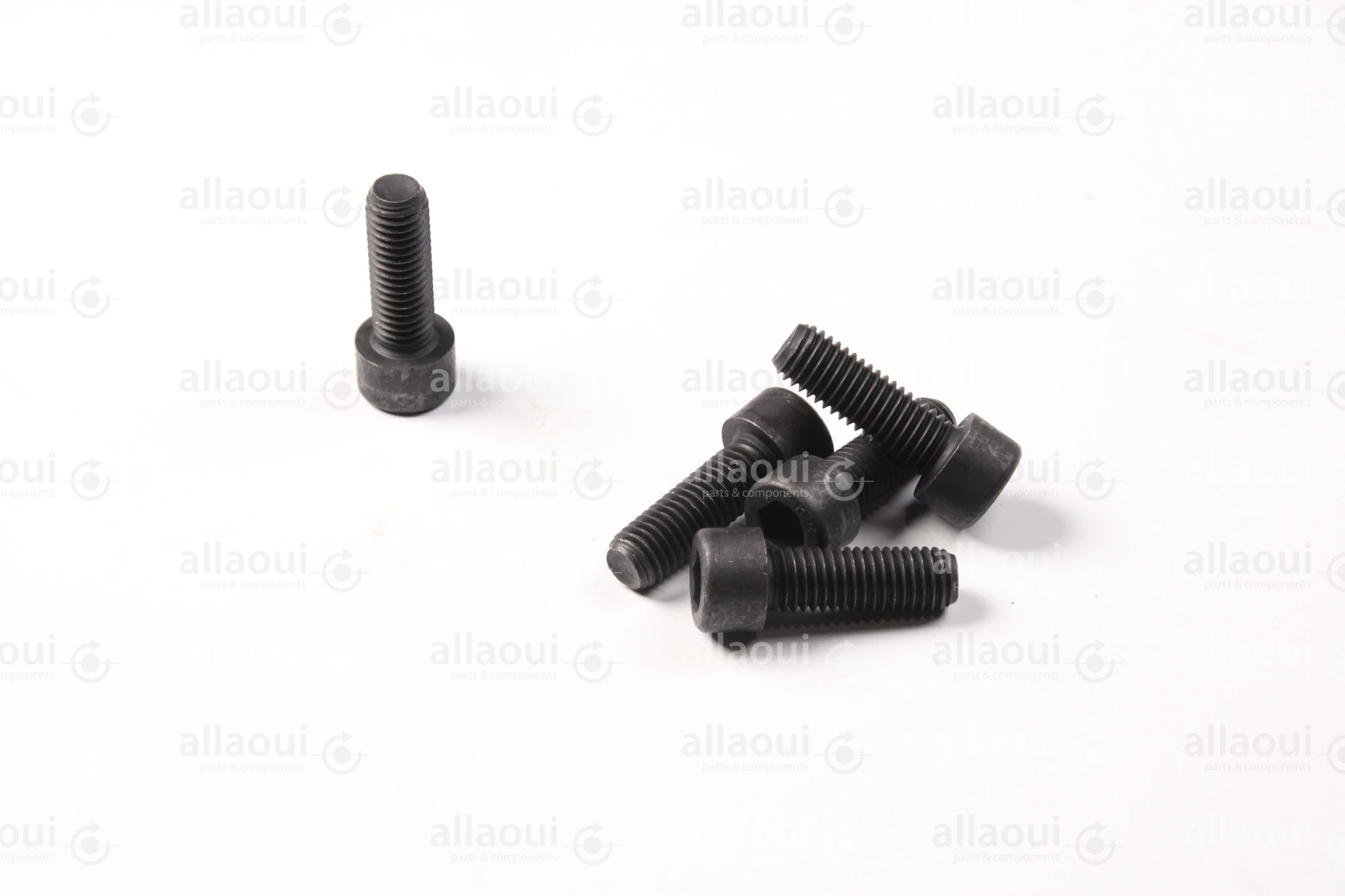 Manroland Cylinder Screw (5 pieces) 06.02093-0512