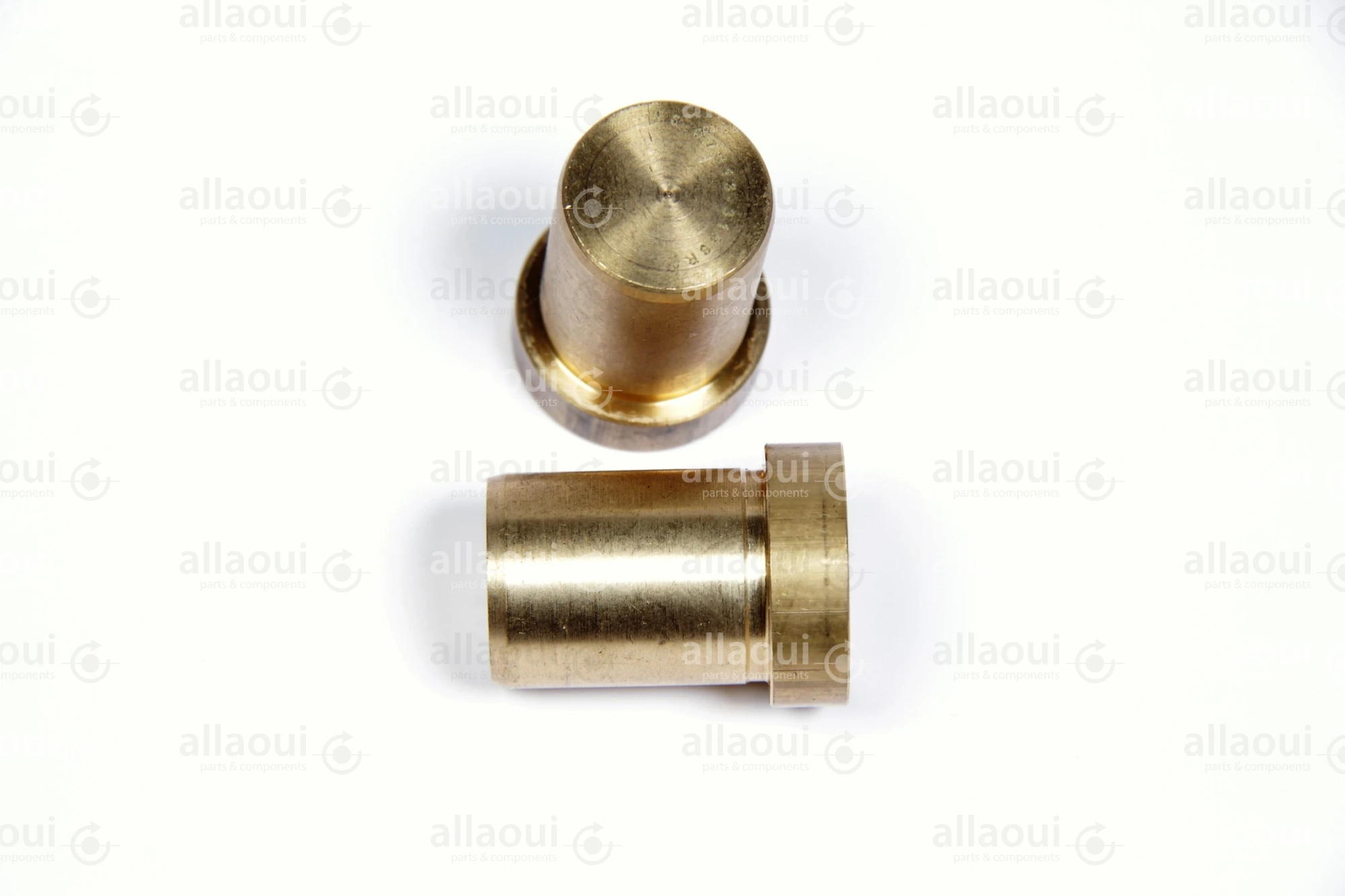 Manroland 007G315613 007G315613