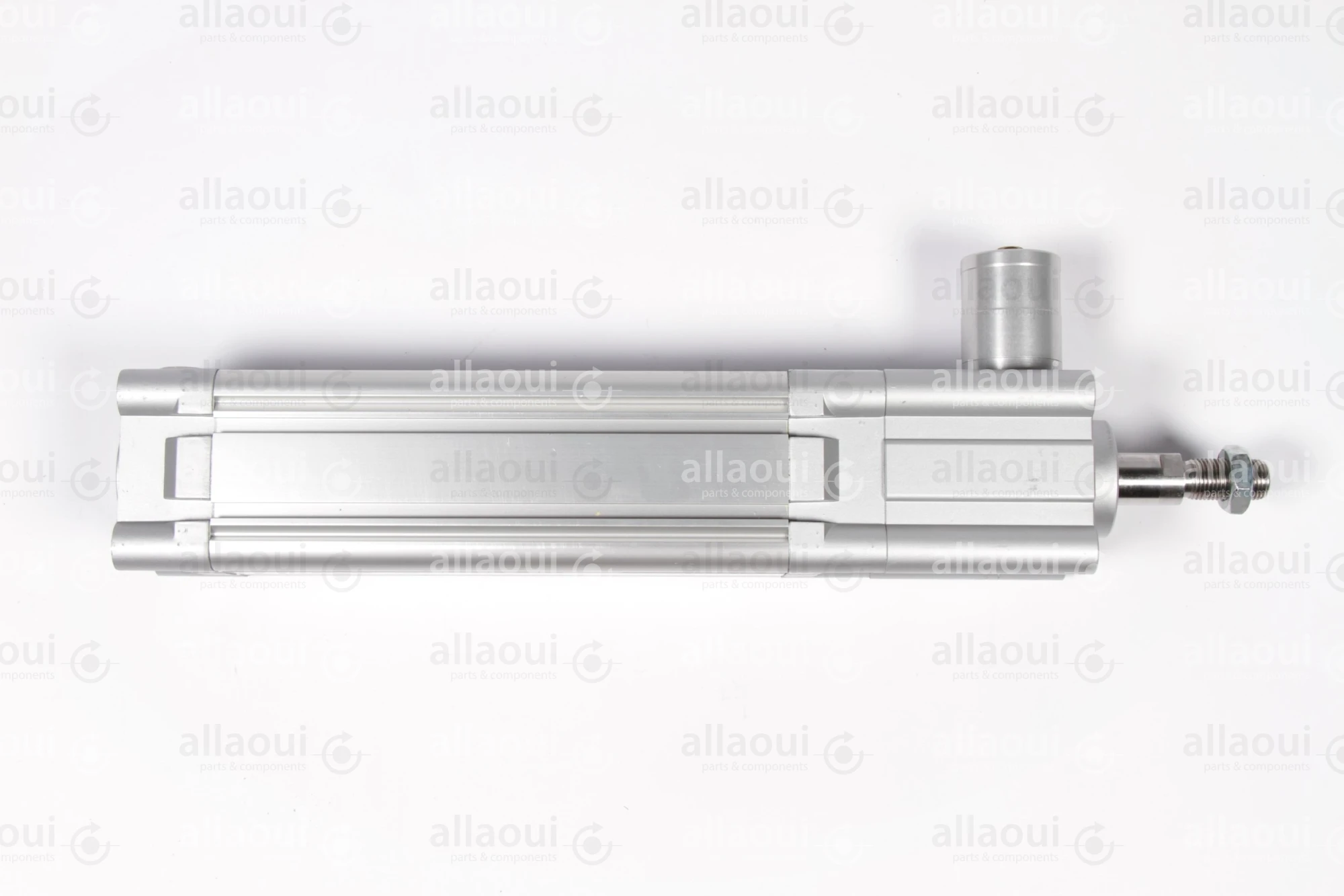 Festo Pneumatic Cylinder DNC-63-160-PPV-A