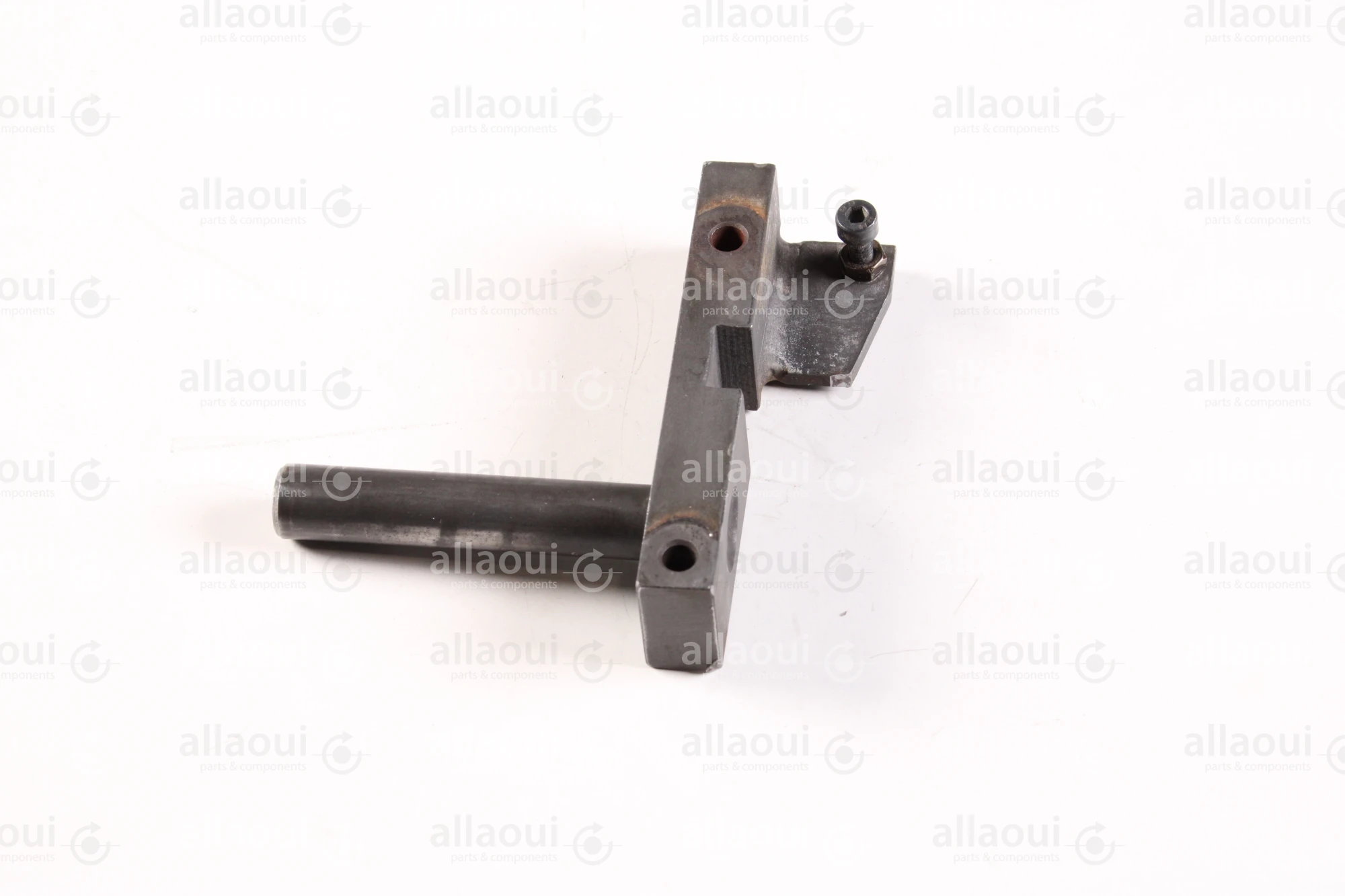 Heidelberg Guide FJ.4150421