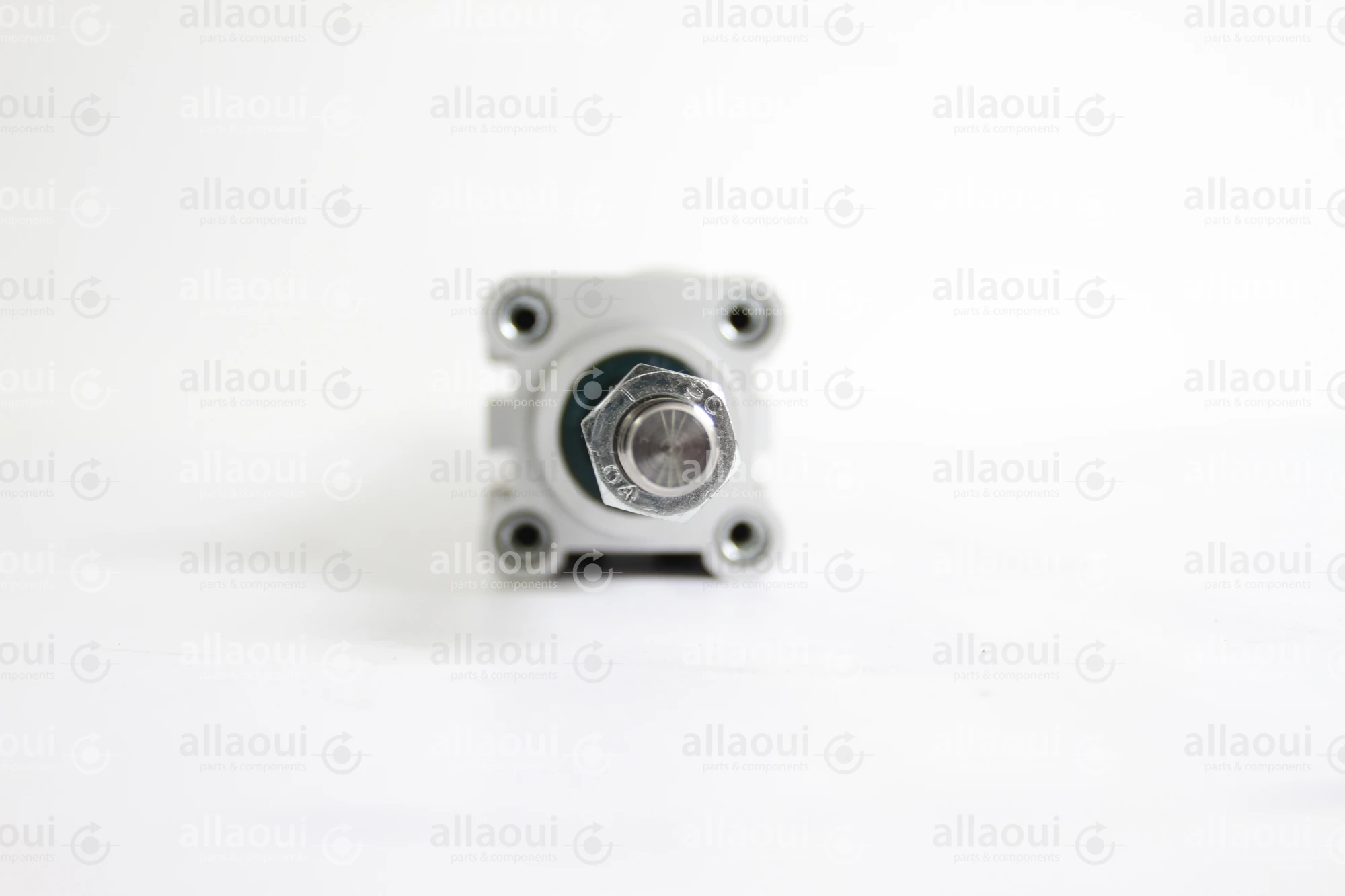 Festo Pneumatic Cylinder DNC-40-320-PPV-A