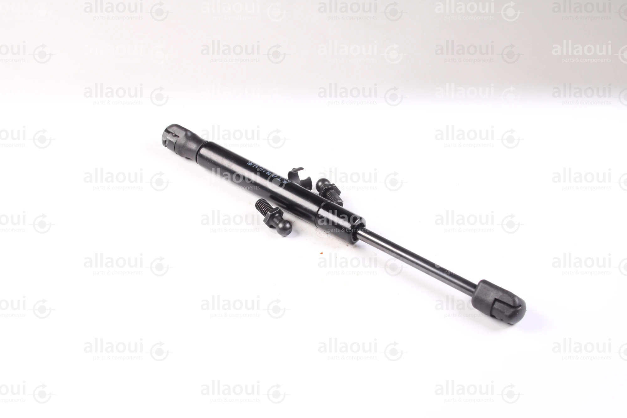 Hahn-Gasfedern Gas Spring 083305 0500N