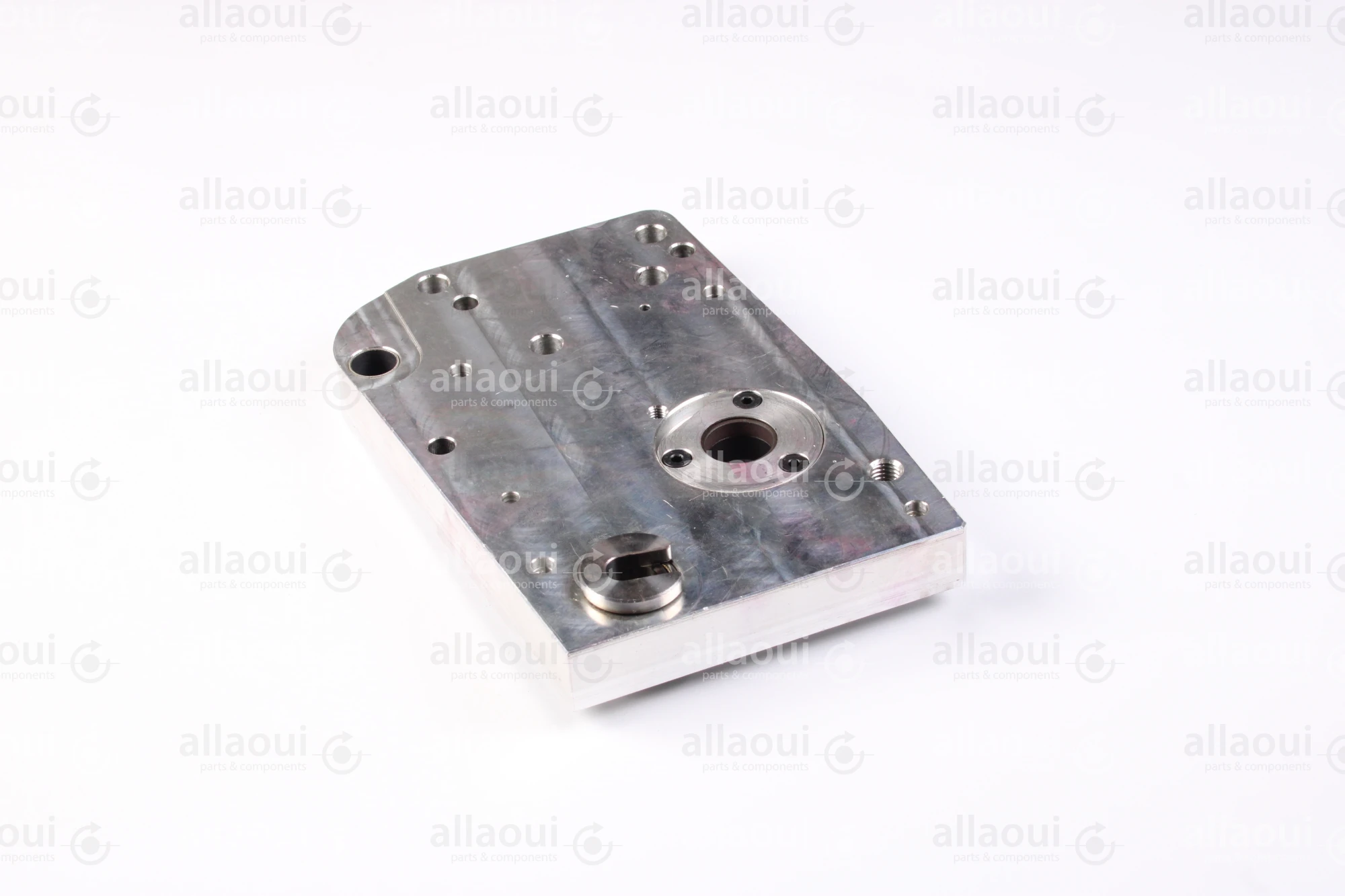 Elektra Side Plate 8001868-00