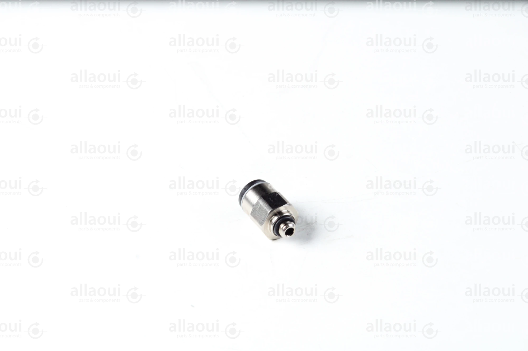 Legris Thread Adapter 3101 06 19