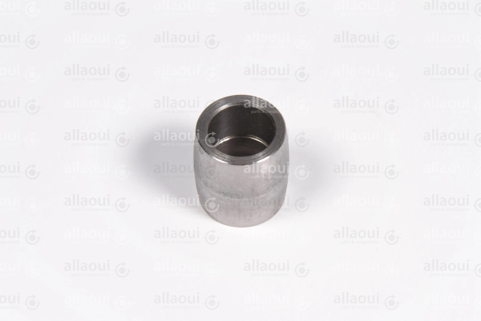 Manroland Pulley 16.31273-0017