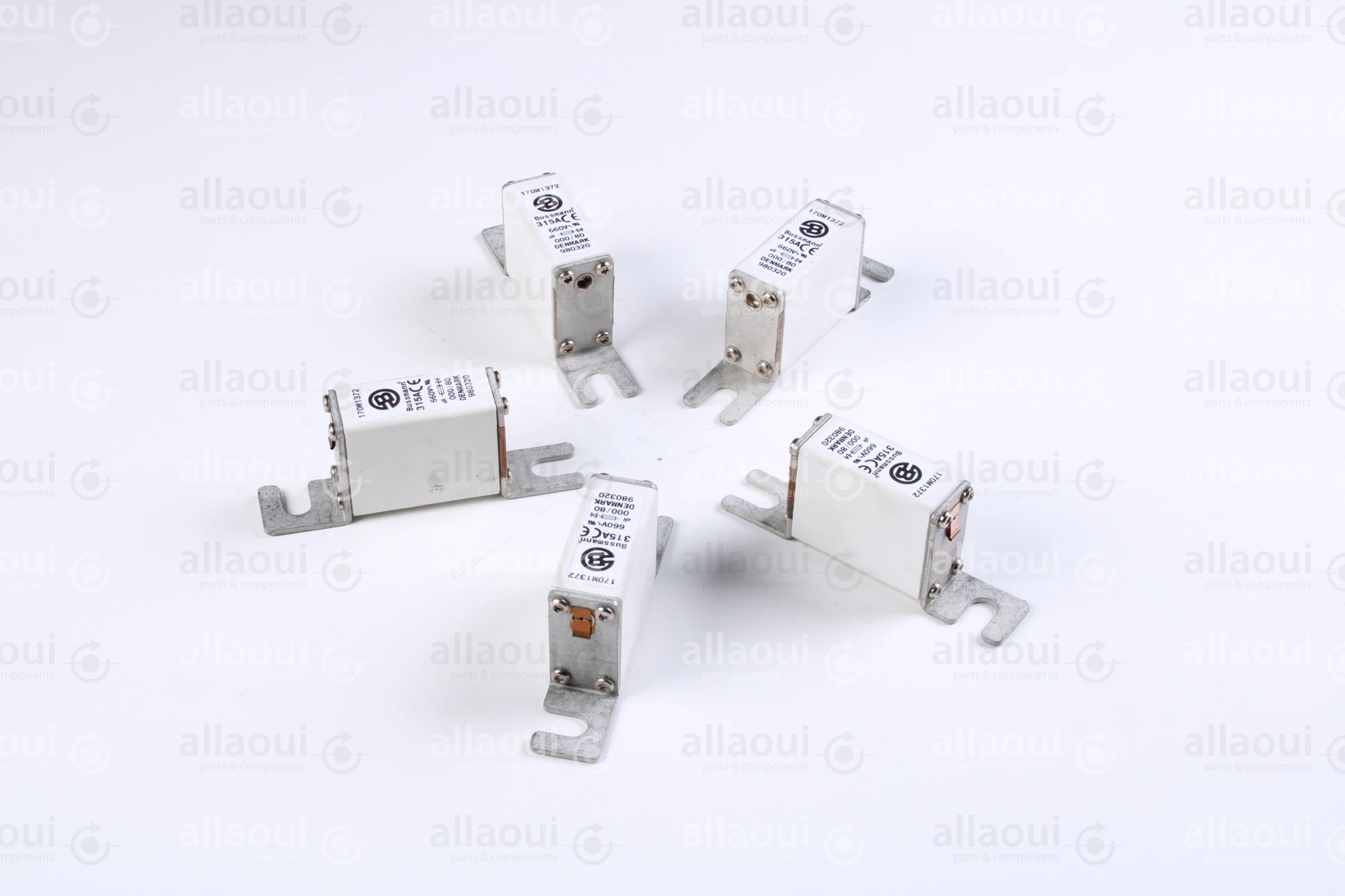 Bussmann Fuse 315A 660V (5 Pieces) 170 M 1372