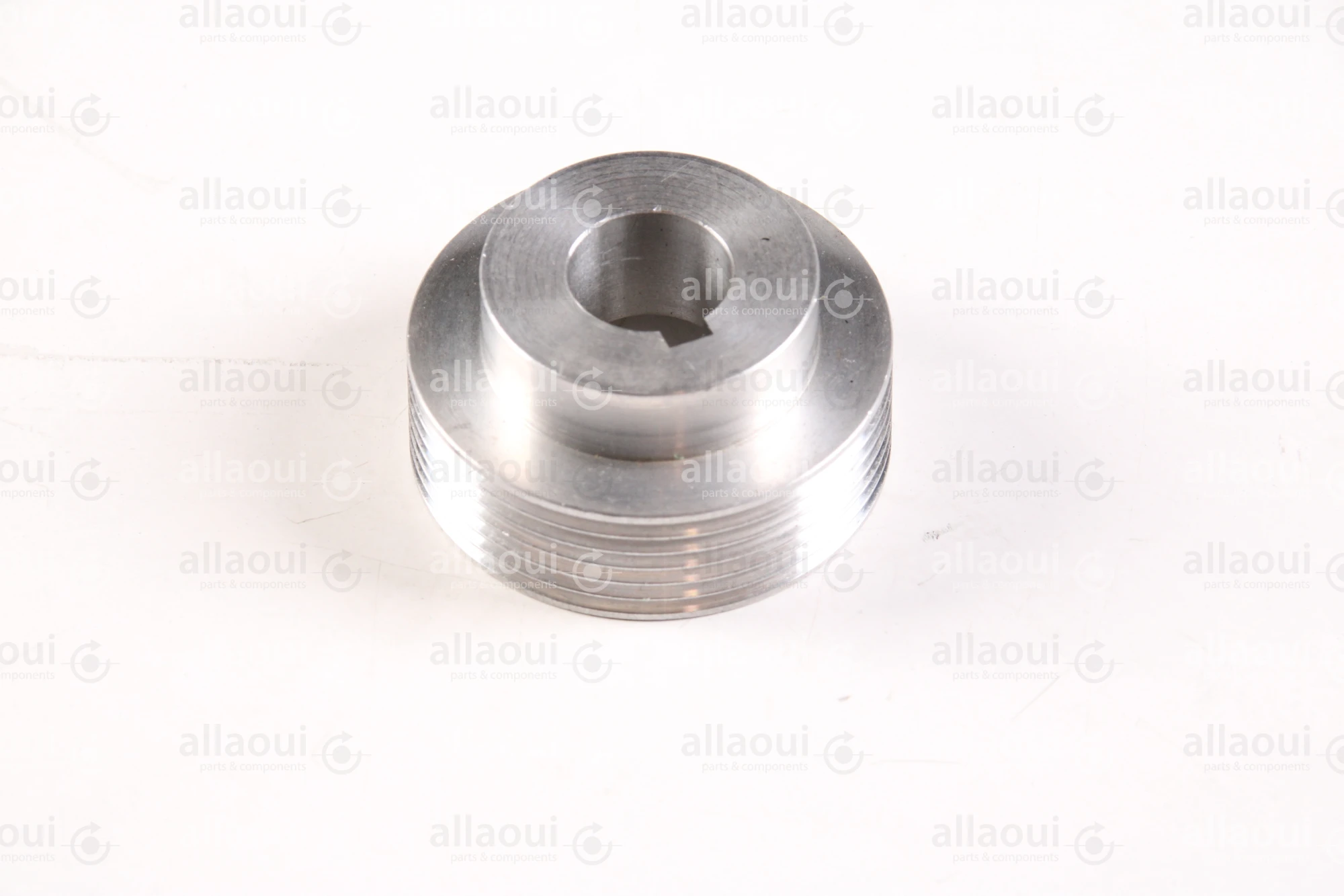 OMS Group Pulley R11518