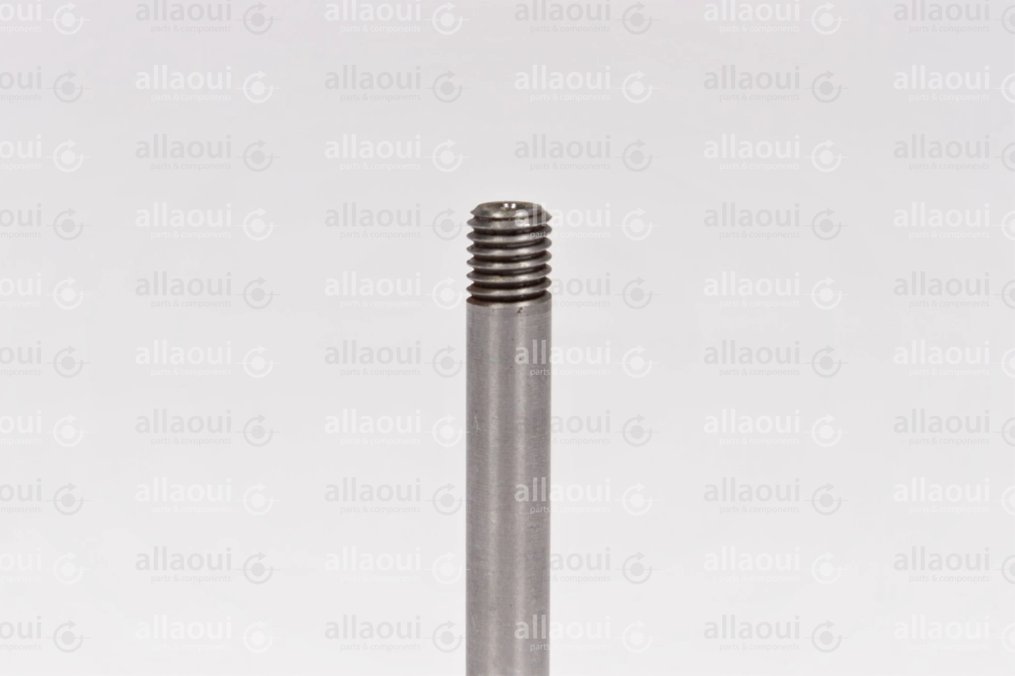 Manroland Bolt (5 Pieces) 16.31293-0095