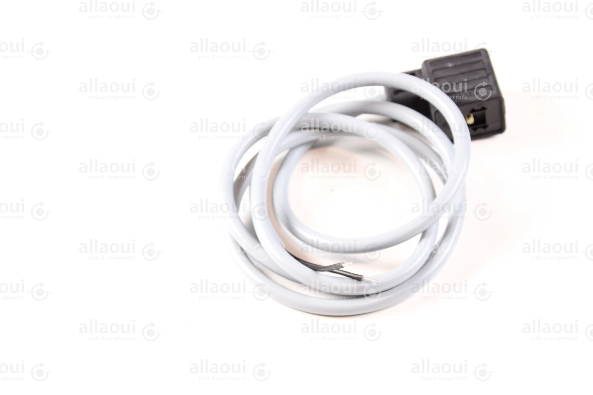 Escha 2-Pole Magnet Connector with Cable TBS20-2.048-1,2/P00