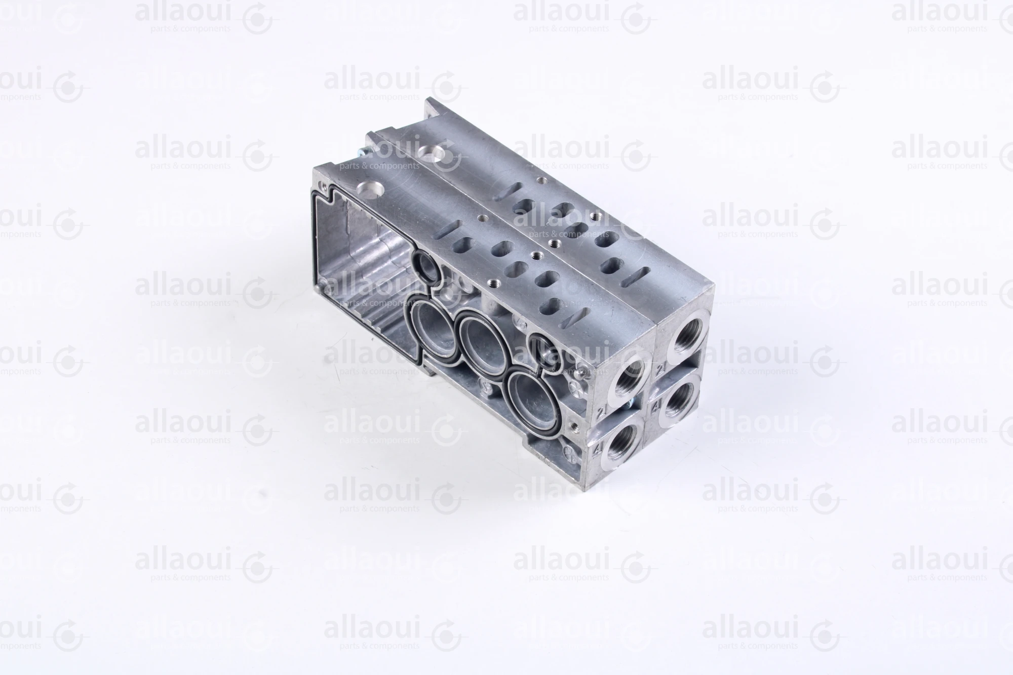 Norgren Double Station G1/4 VS2672502-BGF0