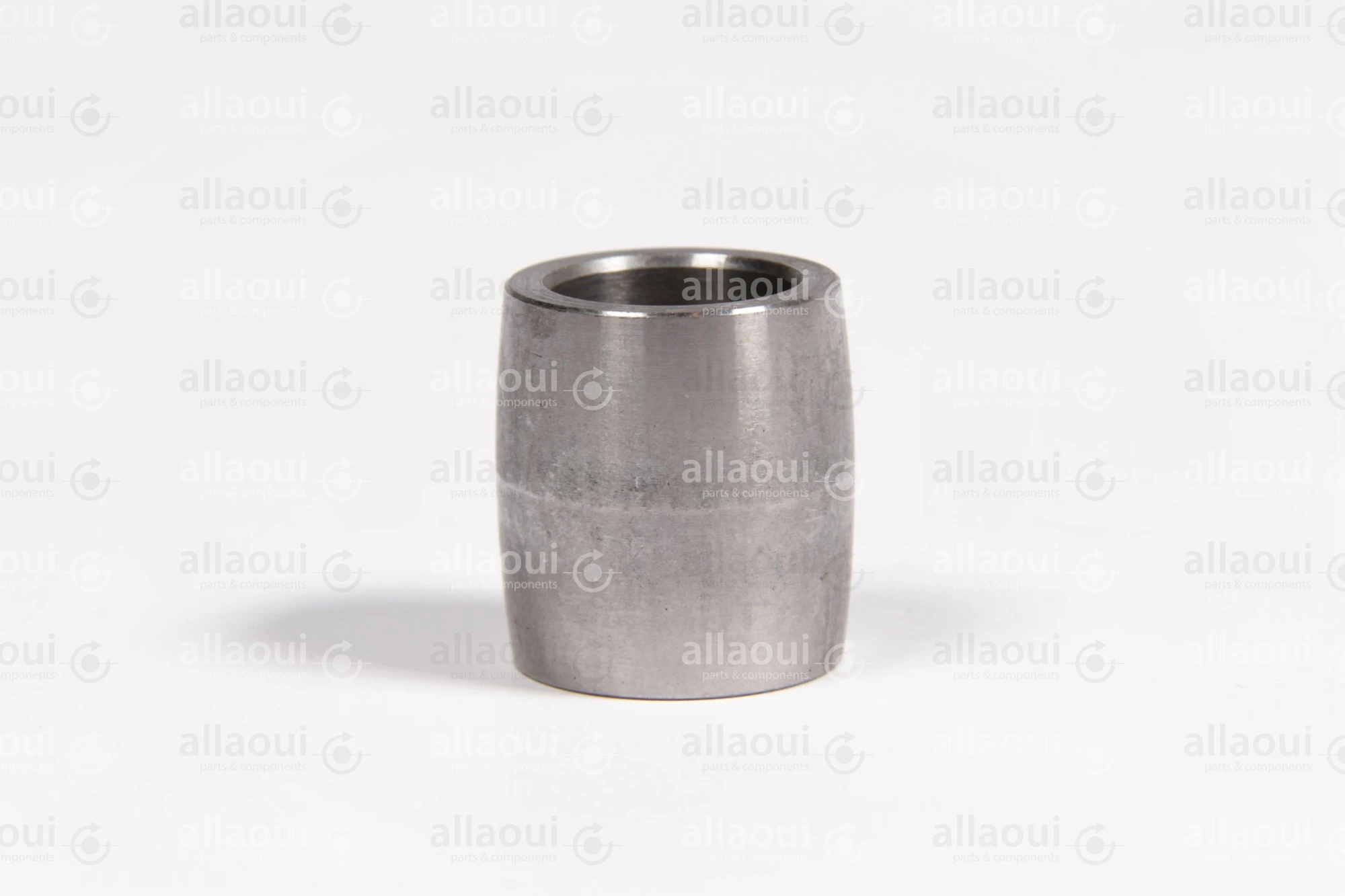 Manroland Pulley 16.31273-0017