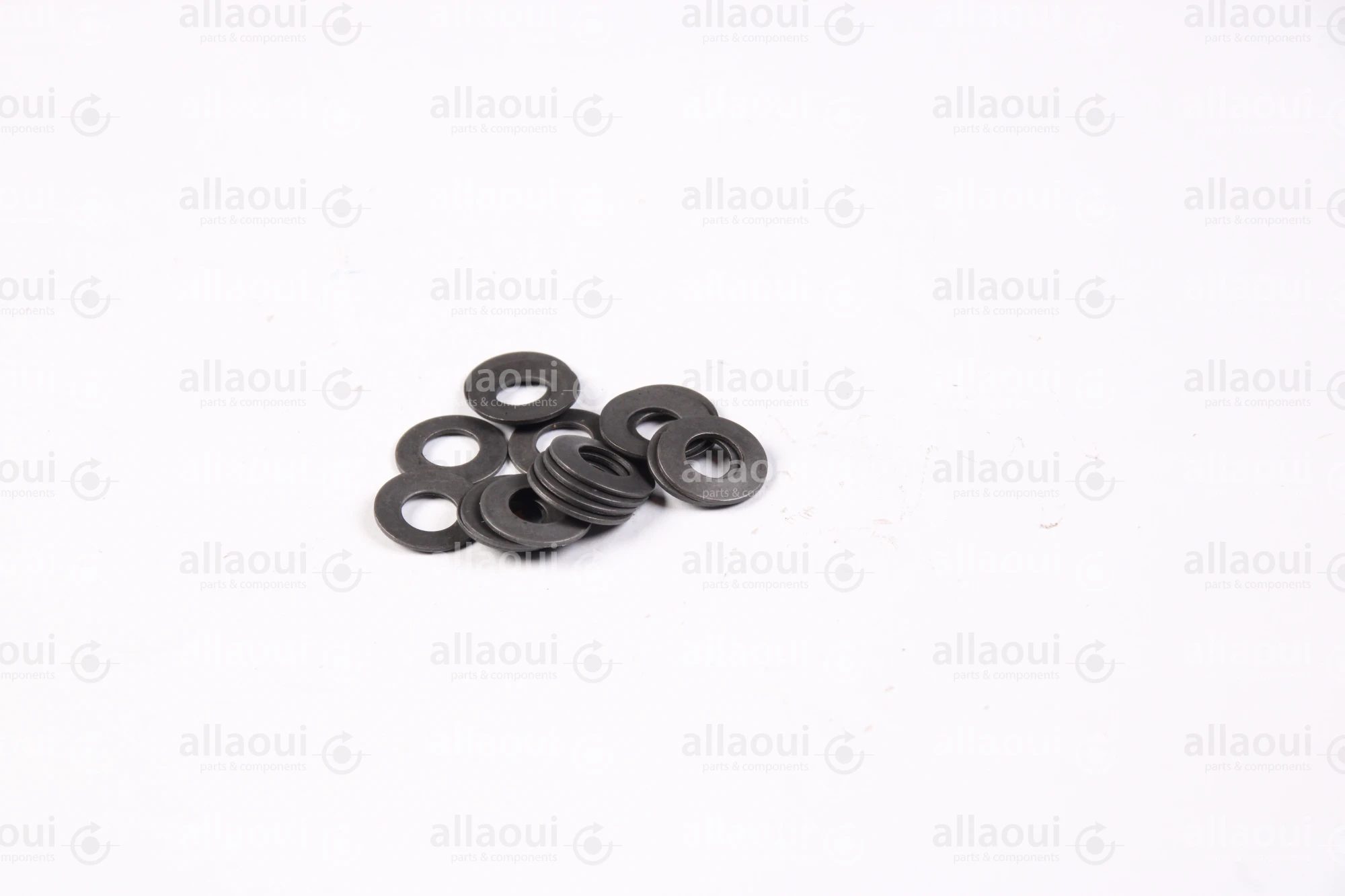 Manroland Plate Spring (10 Pieces) 06.56010-0103
