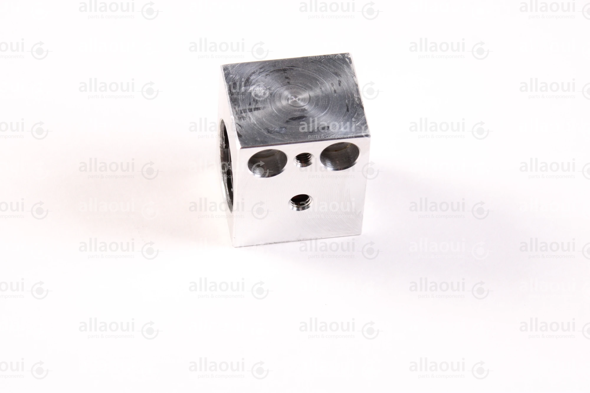 Aster Europe GmbH Guide G972552