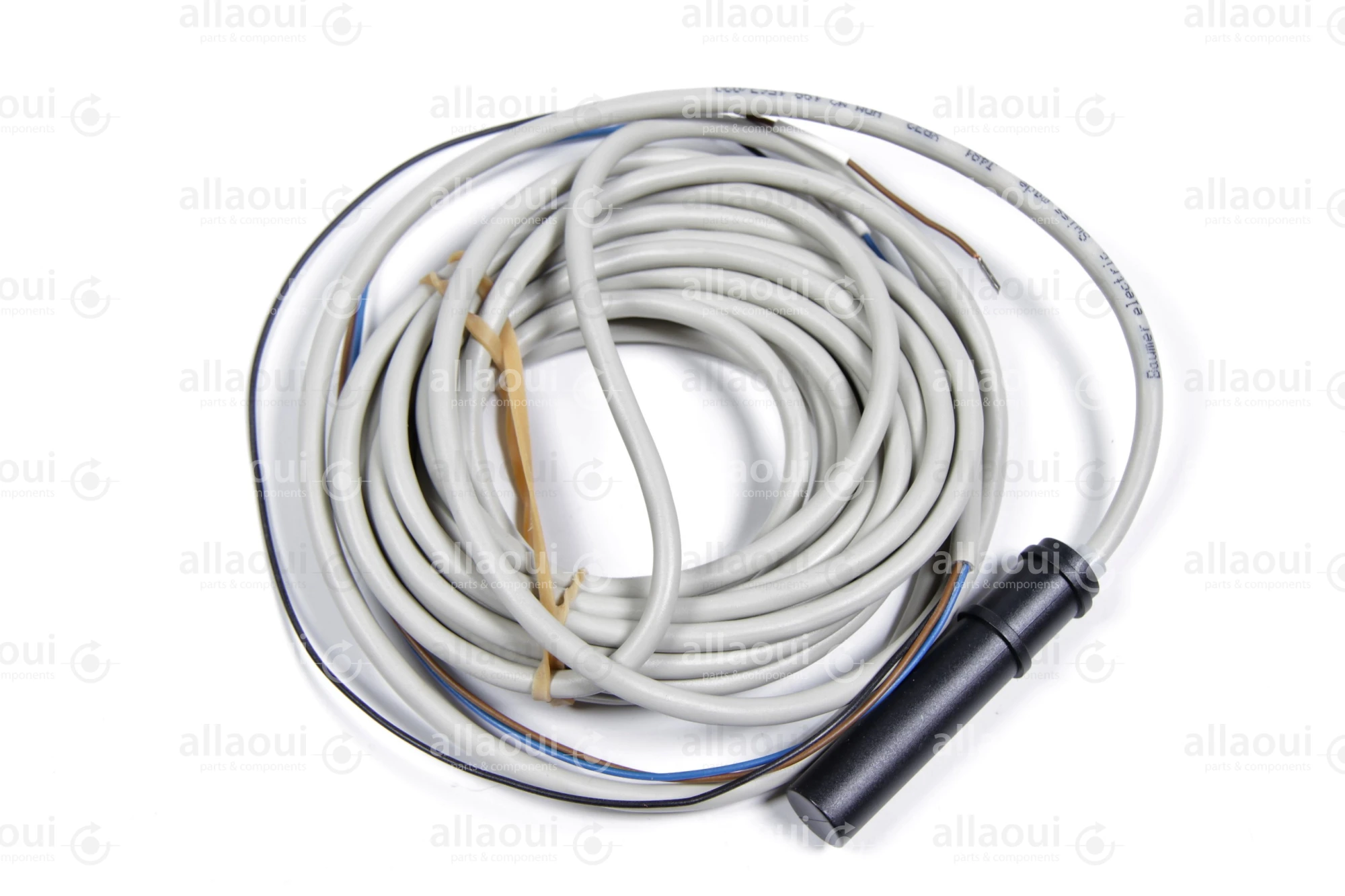 Heidelberg Capacitive Proximity Switch M2.198.1563/02A