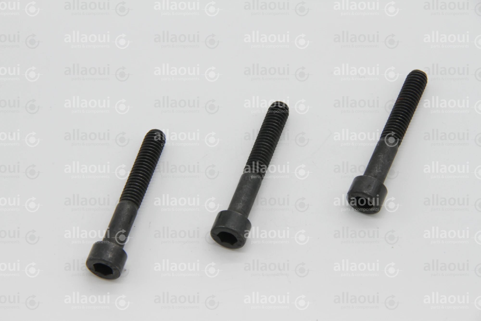 Müller Martini Allen head cyl. screw M6X40 (4 Pieces) 0030.0544