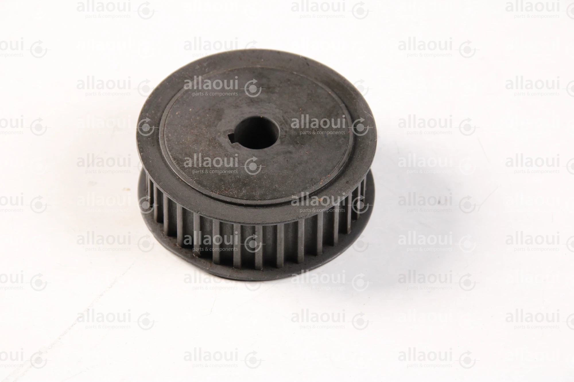 RIMA System Pulley 500621331