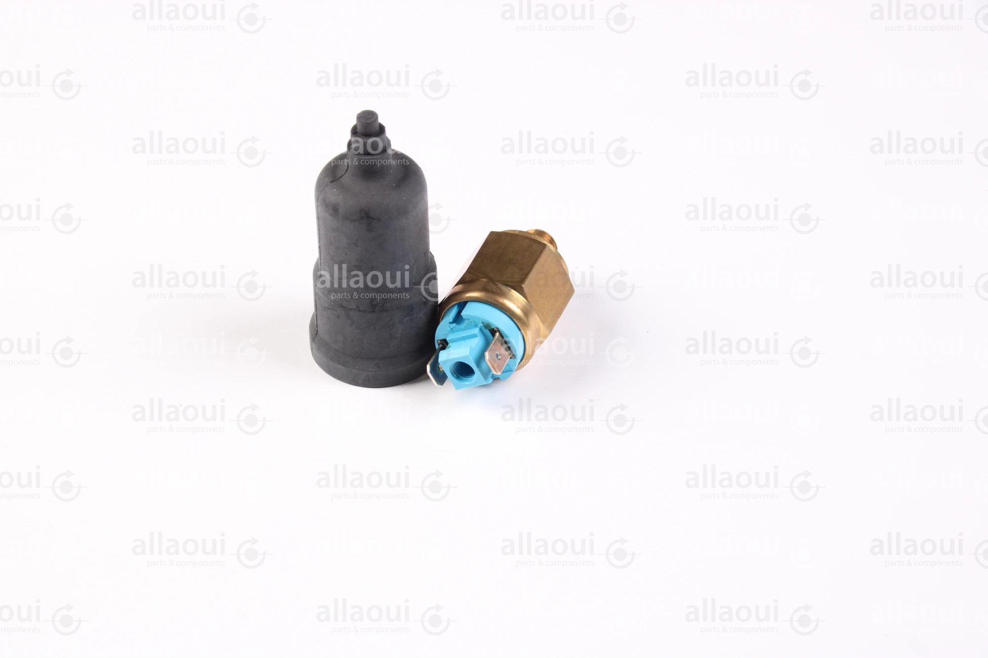 Elettra Pressure Switch 2000981-00
