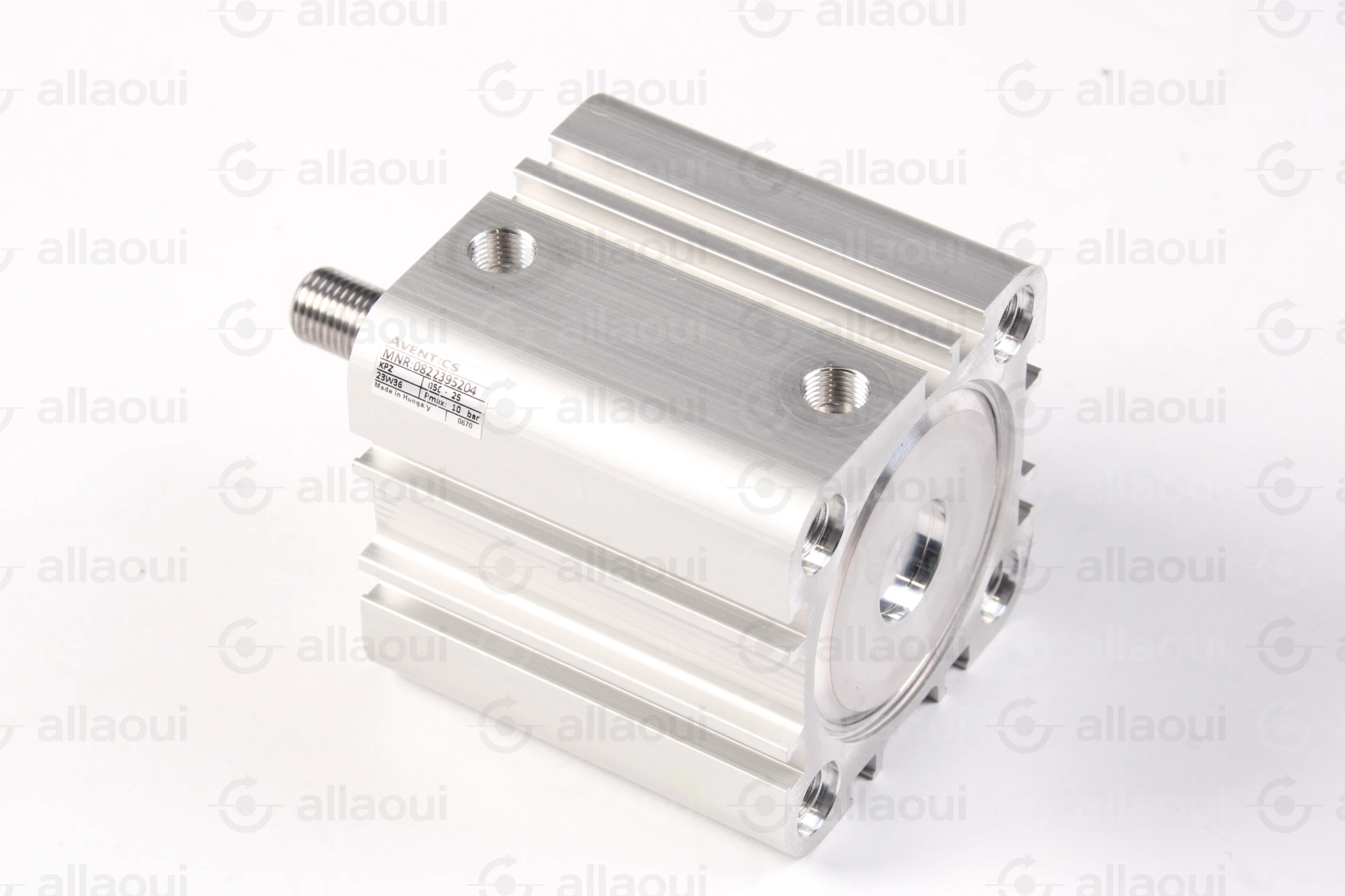 Bosch Rexroth Cylinder 0822395204