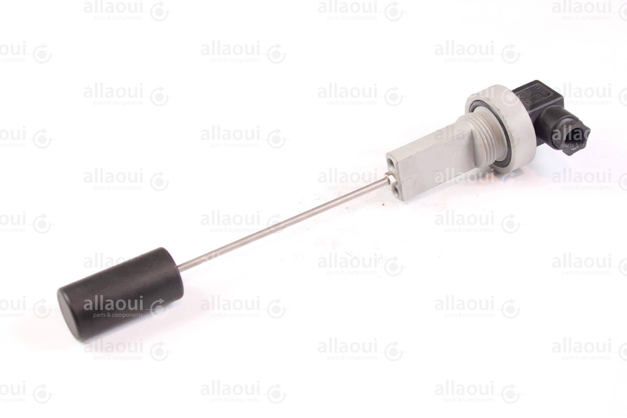 F. lli Giacomello Single Float Level Switch RL-G1-1-S2