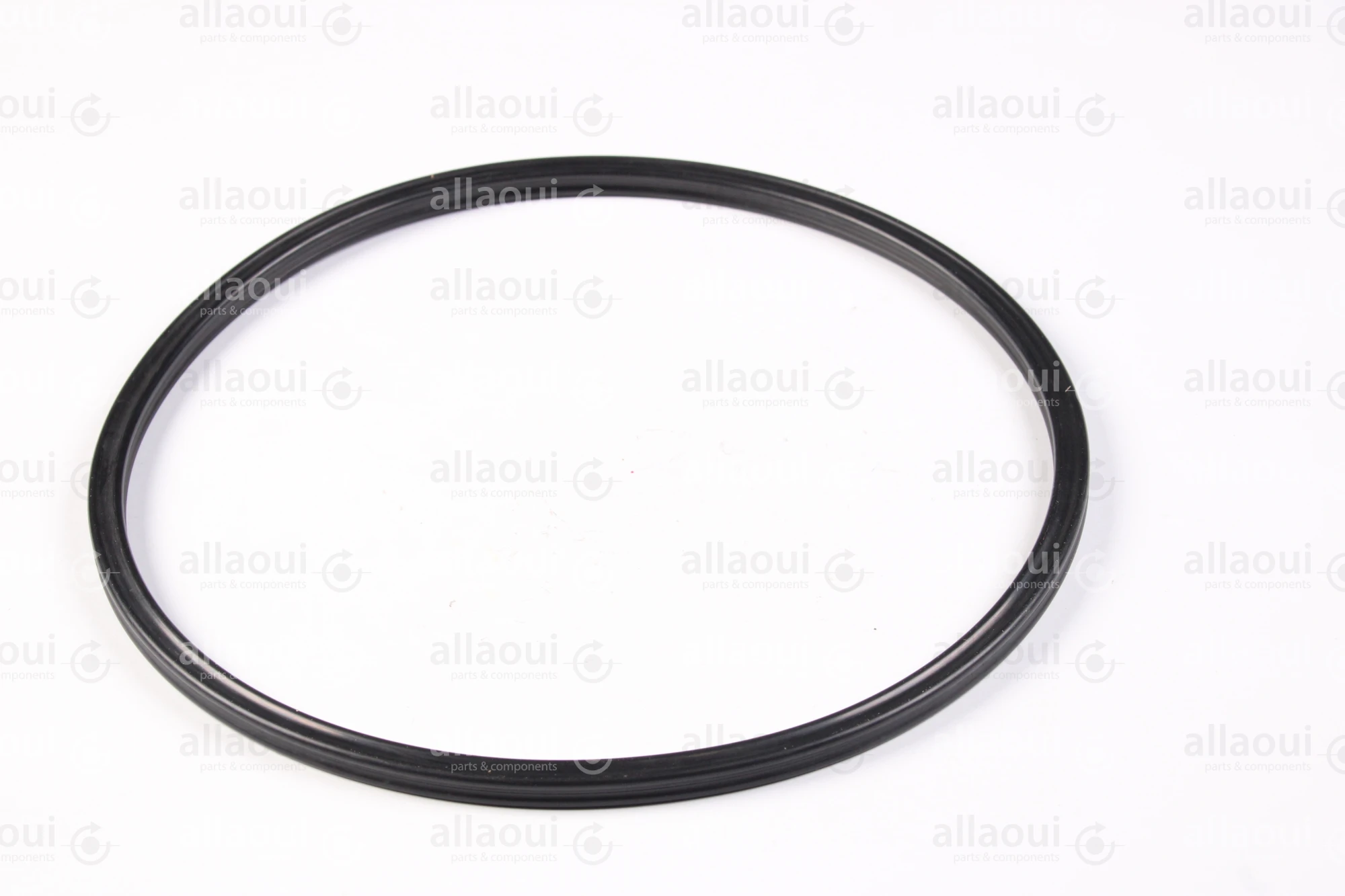 Contiweb Sealing Ring WH.092000916