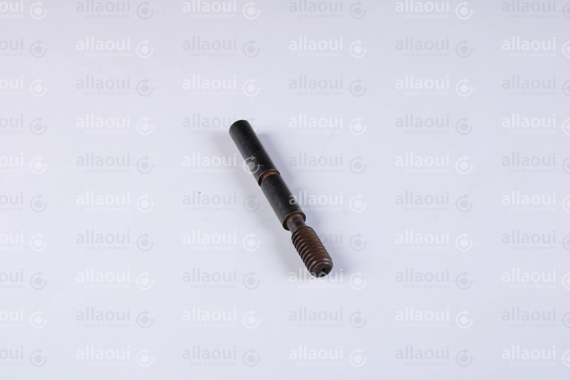 Manroland Worm 8008F302351