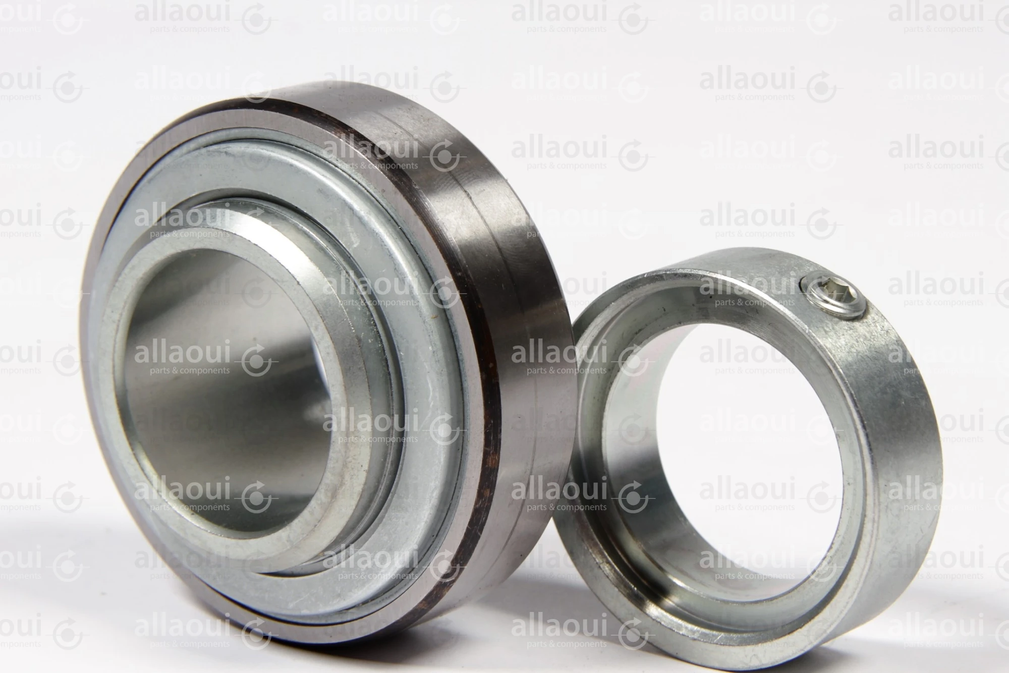 INA Roller Bearing F-231370