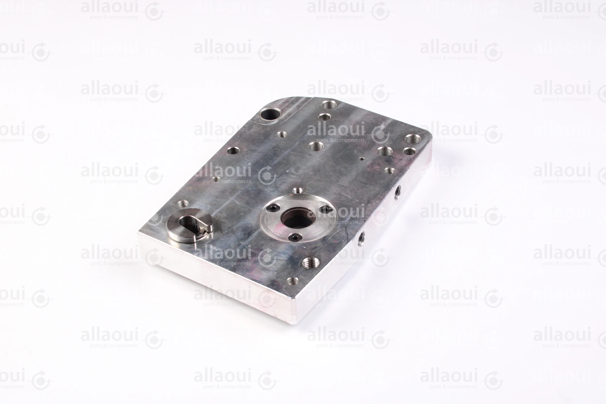 Elektra Side Plate 8001868-00