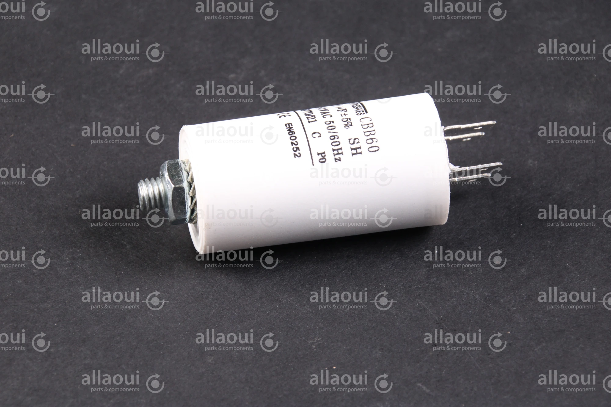 SR Passives Capacitor EN60252