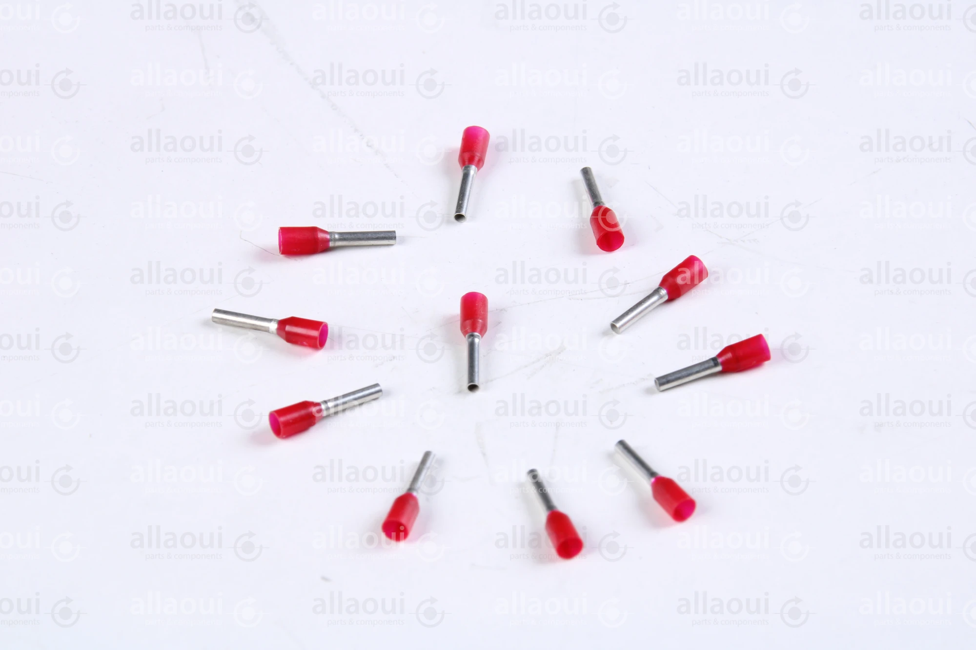 Koenig & Bauer (KBA) End-Fitting (11 Pieces) L0721812