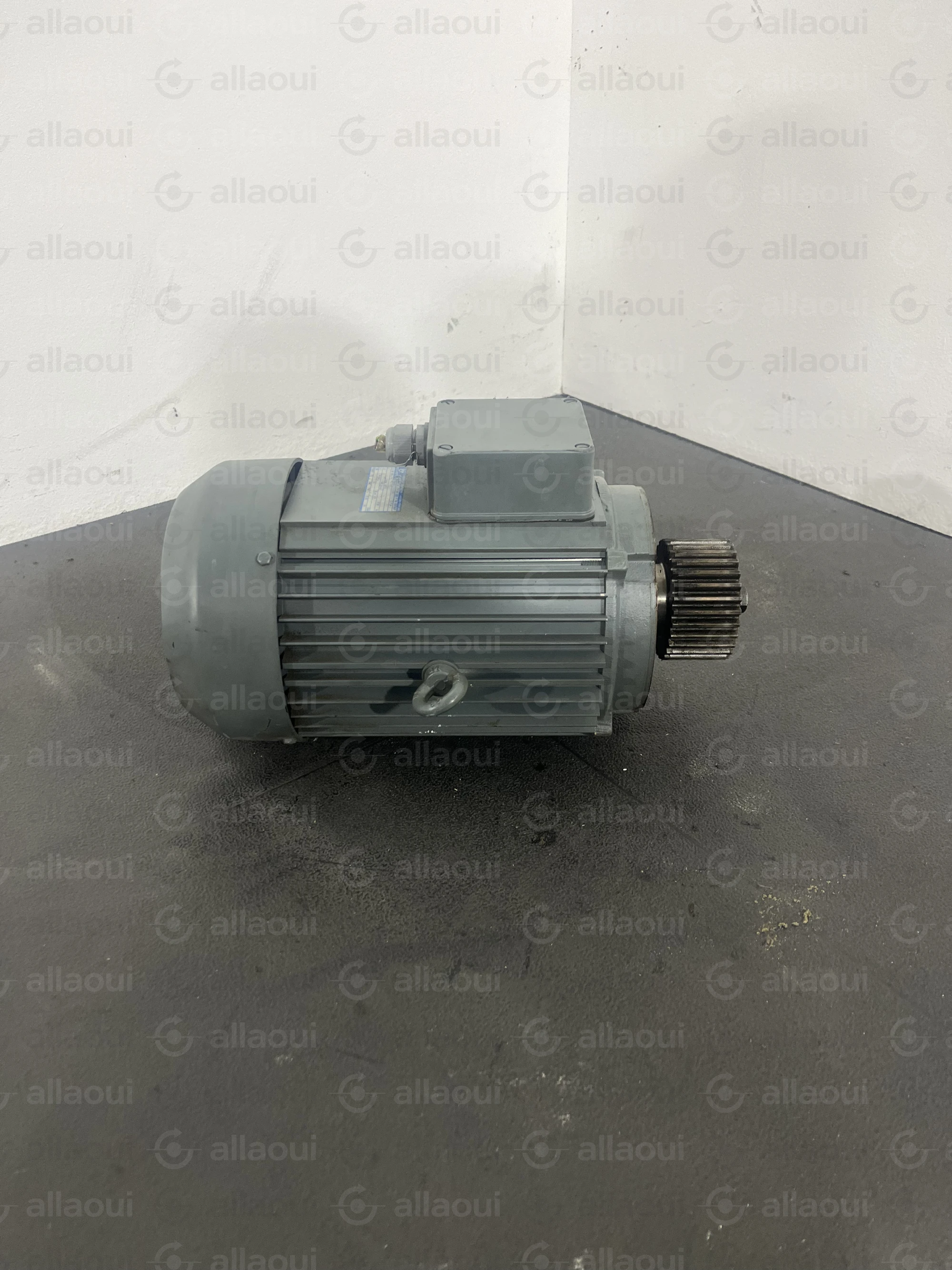 ABM Greiffenberger Motor 4DF100LC-4