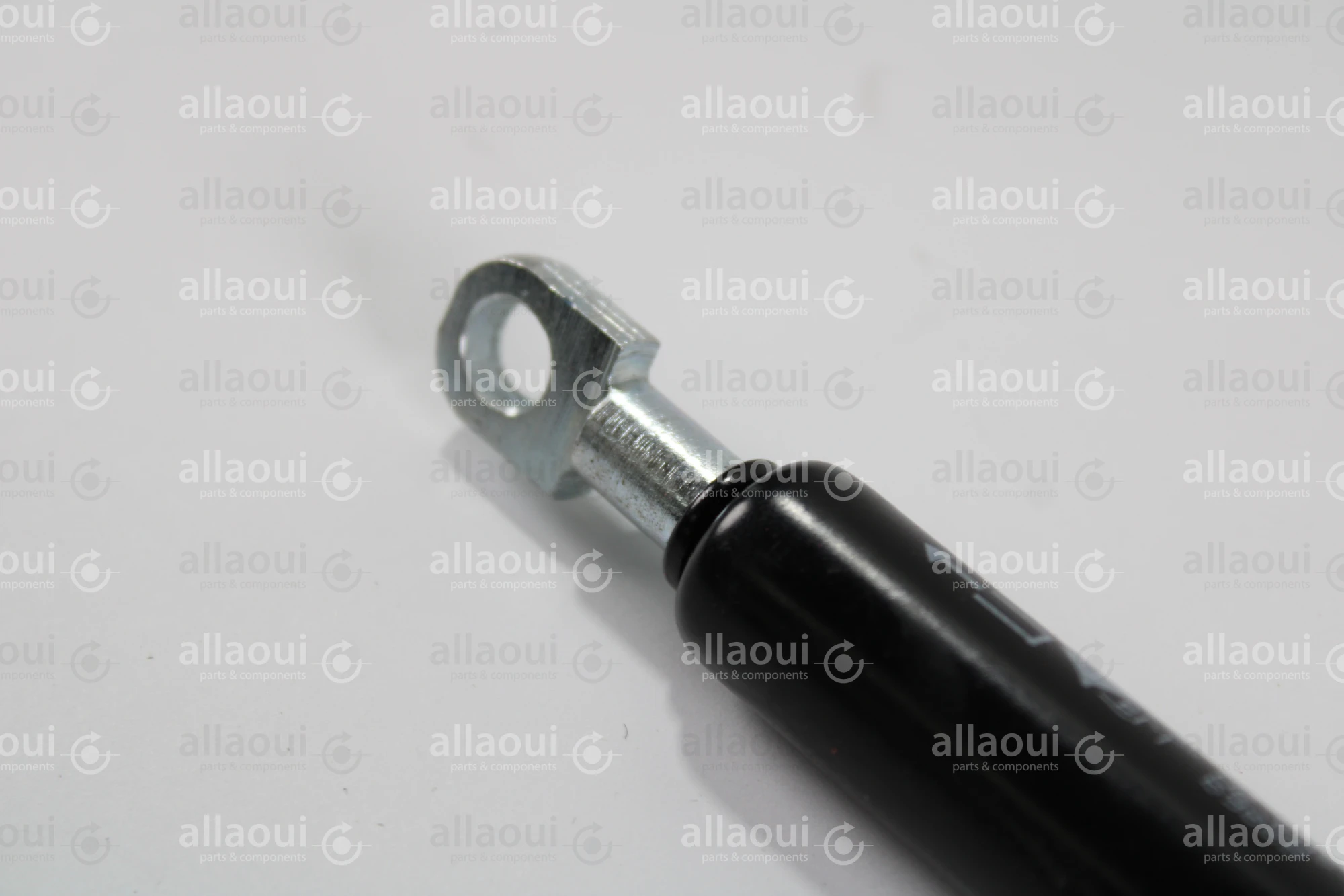 Berthold Marx Gas Spring ST-1800300VD8