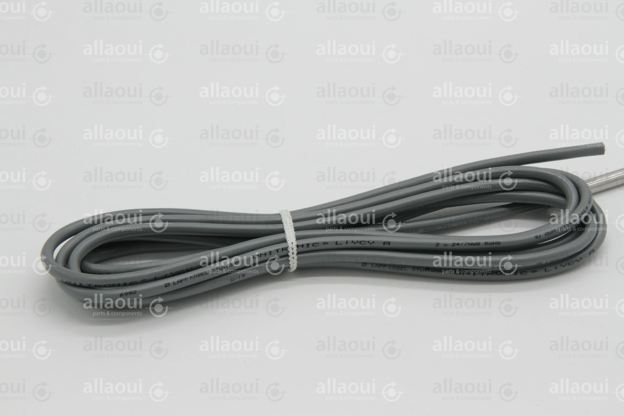 Heidelberg Temperature Sensor SA196173601