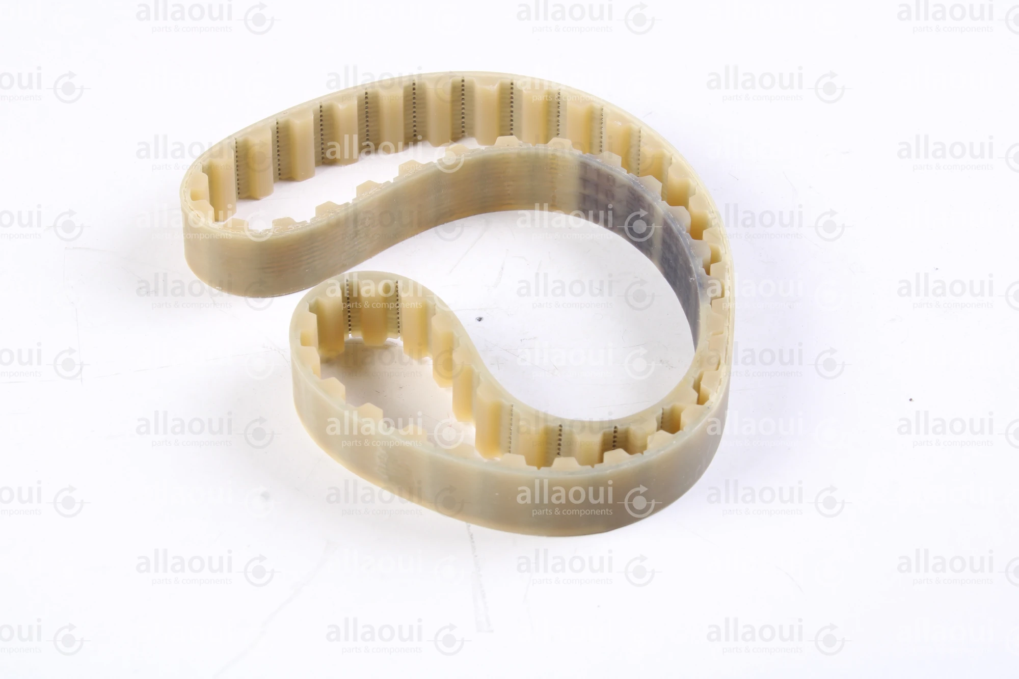 Müller Martini Toothed Belt T10-Z56 3671.1343.4