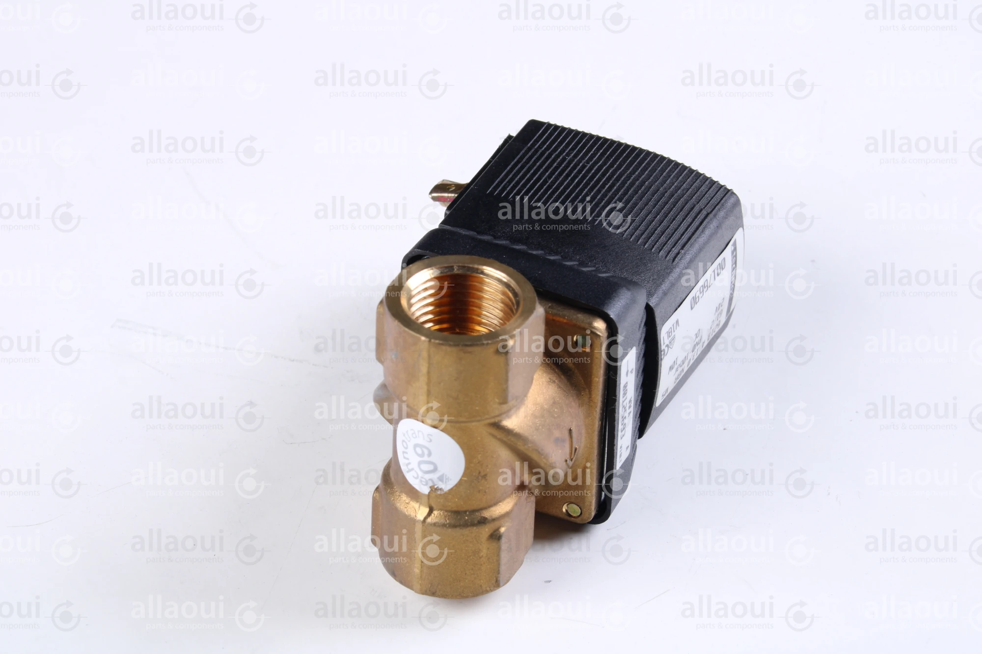 Technotrans Solenoid Valve 00176690