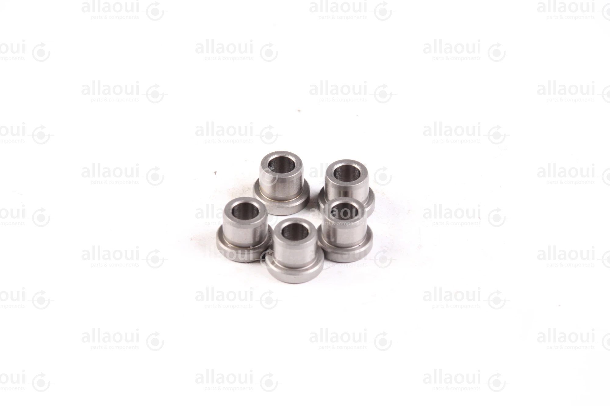 Ludwig Meister DIN 172 Guide Bushings(5 Pieces) 480-DIN172-B6-10-A