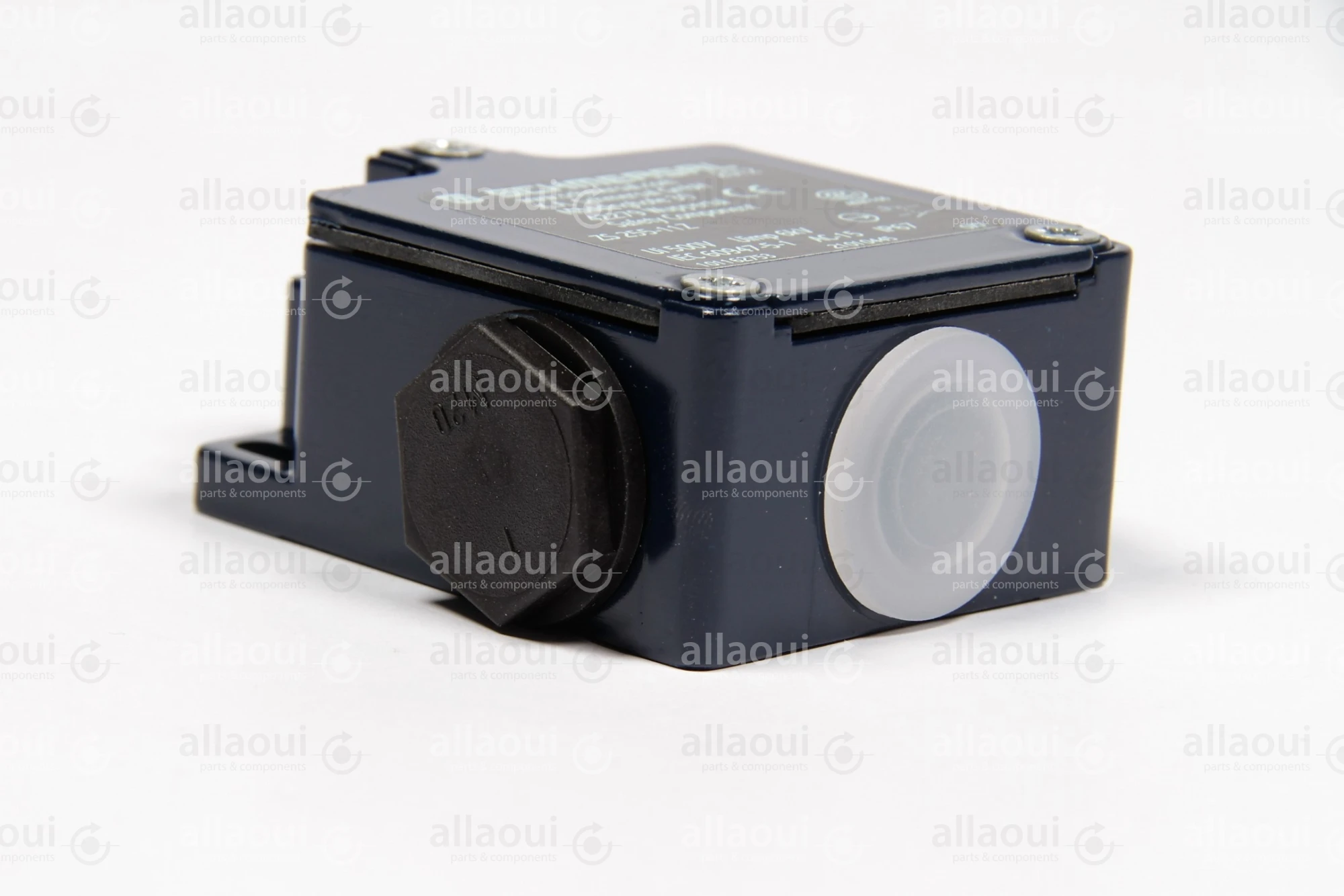 Schmersal Switch ZS 255-11Z