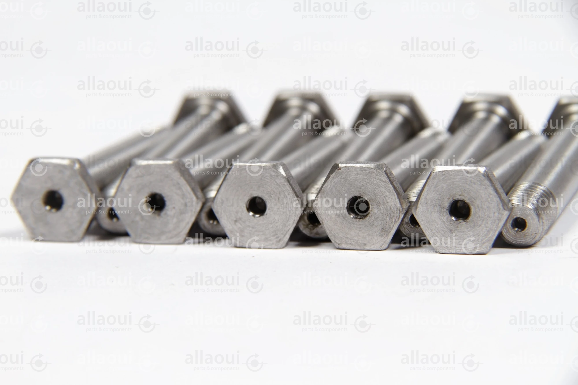 Manroland Bolt (10 Pieces) 16.31293-0093