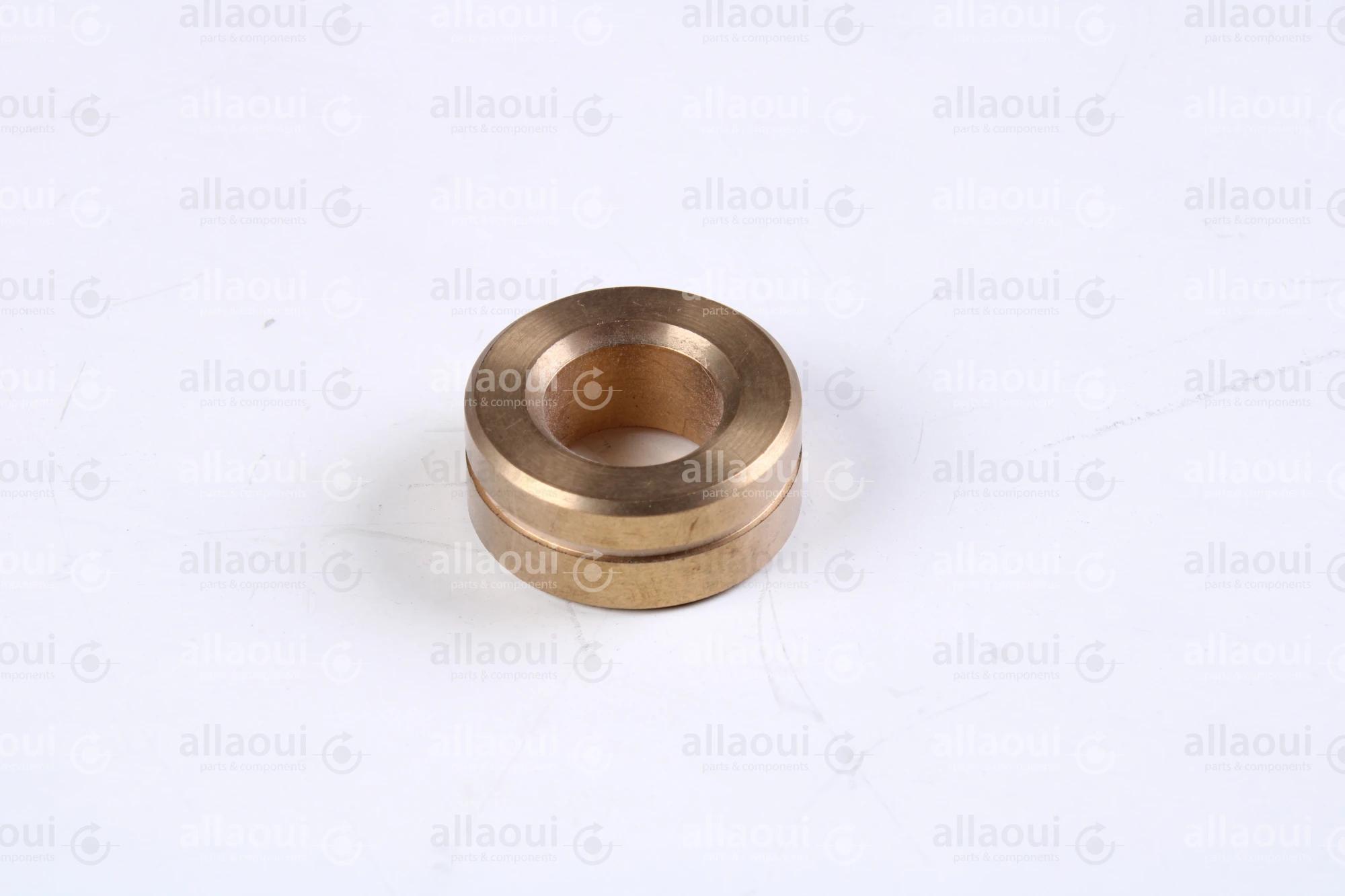 Polar Bearing bushing 448355