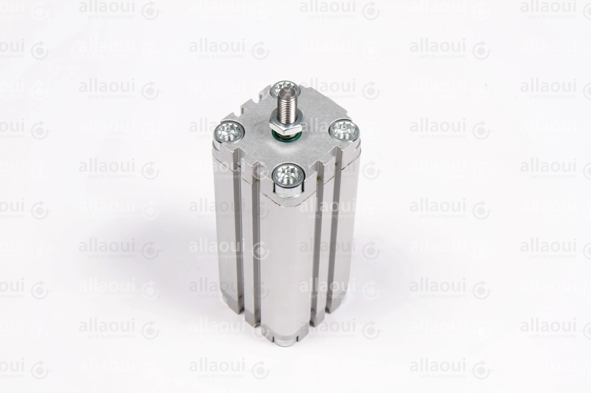 Festo Pneumatic Cylinder 156045