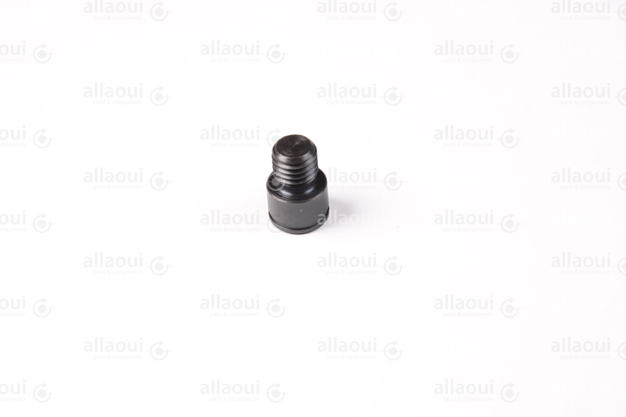Manroland Fitting Screw 16.03495-4002
