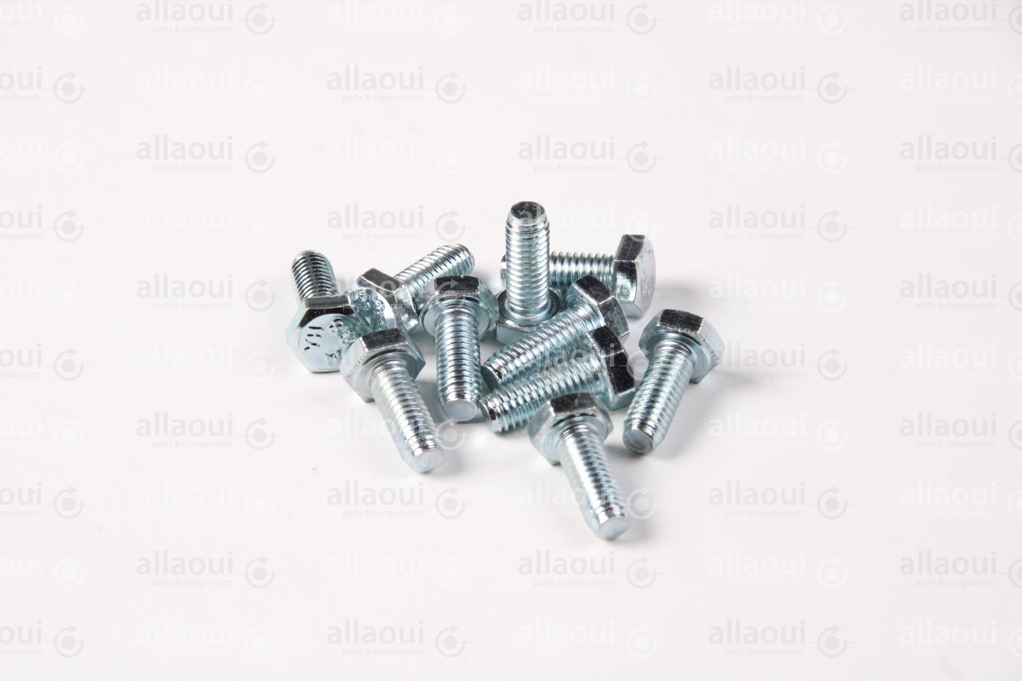 Contiweb Screw (10 Pieces) WH.100147002