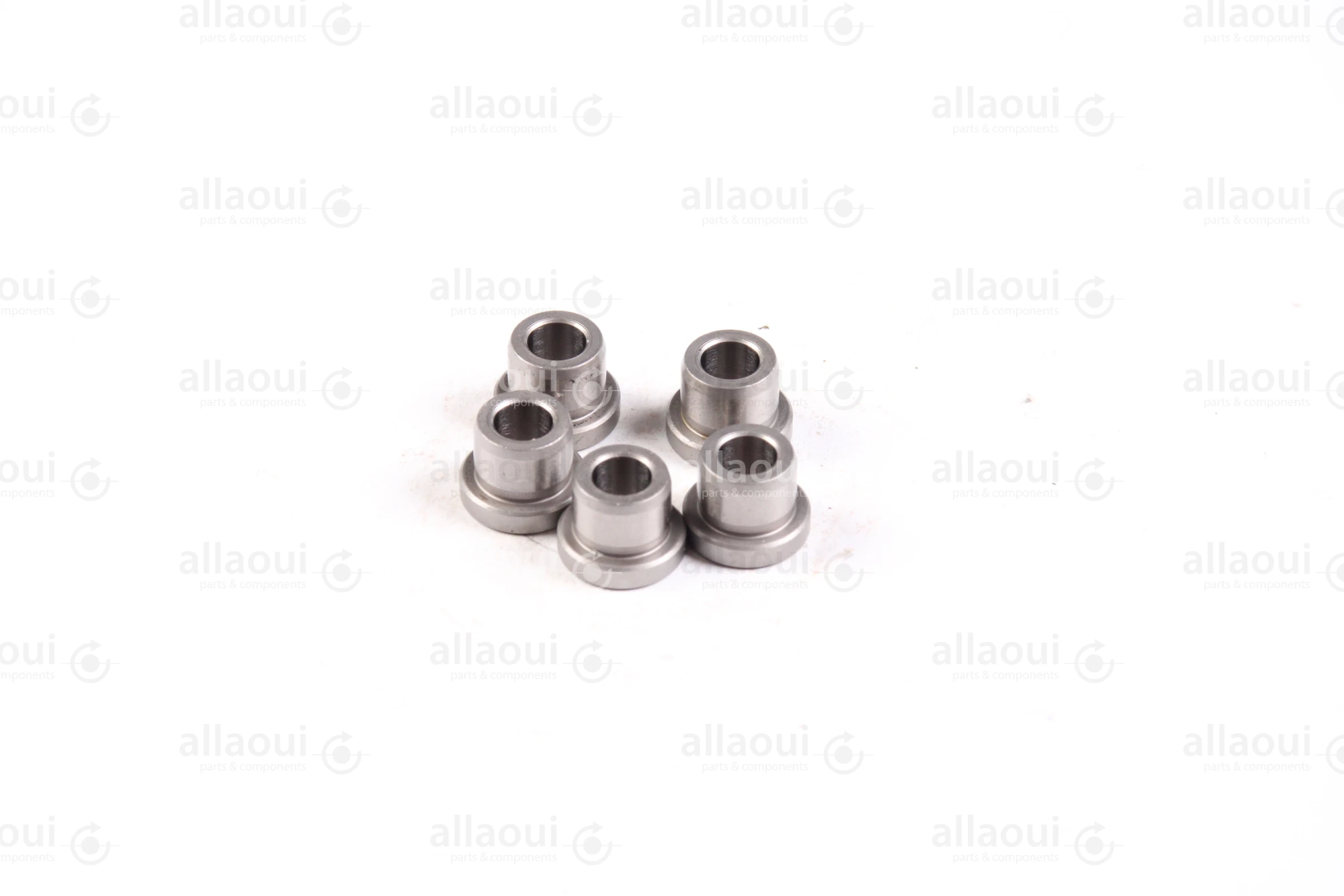 Ludwig Meister DIN 172 Guide Bushings(5 Pieces) 480-DIN172-B6-10-A