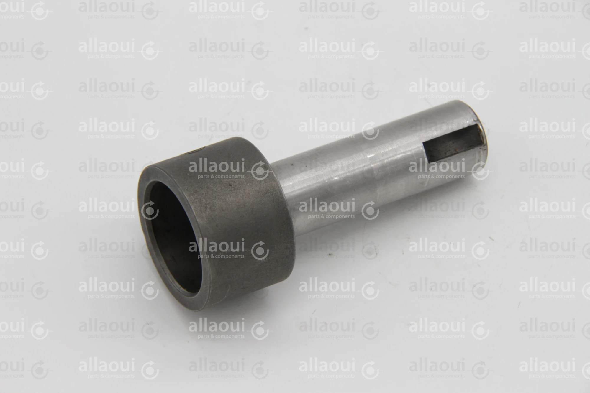 Heidelberg Shaft with Pin ZD.219-196-BE-01