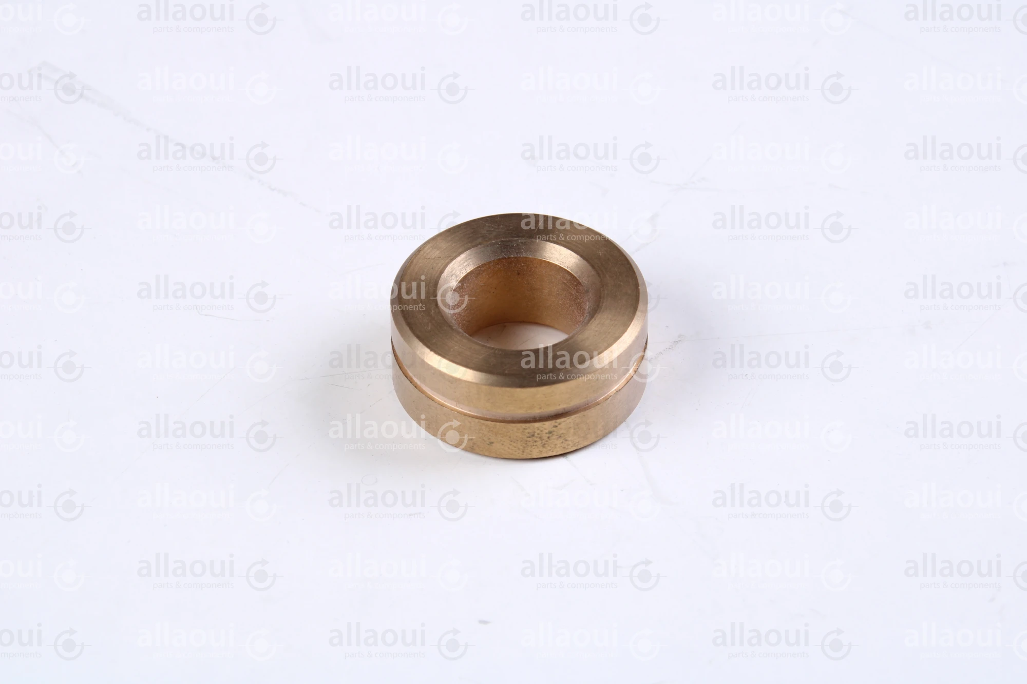 Polar Bearing bushing 448355