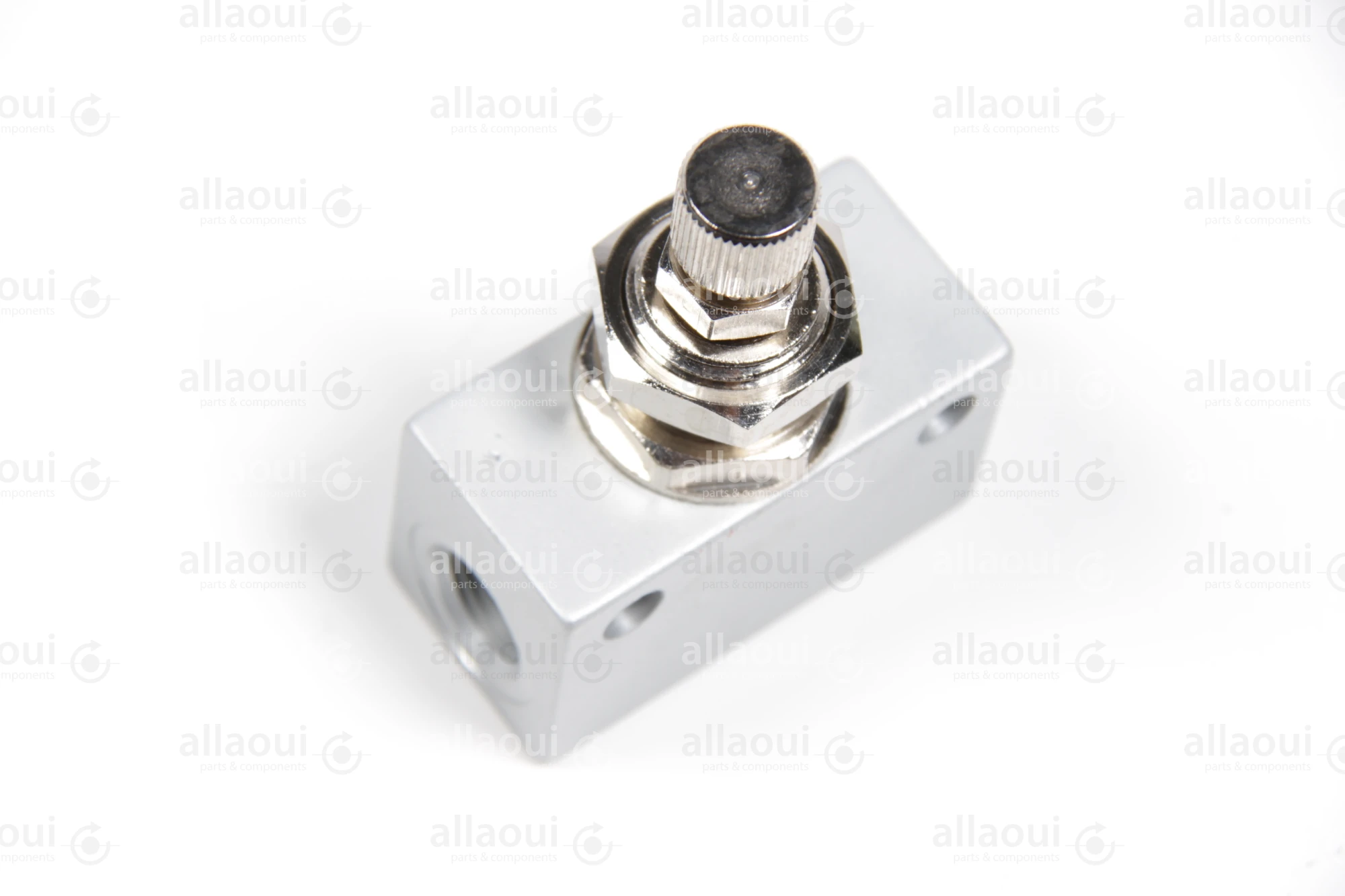 Riegler Valve 225.34