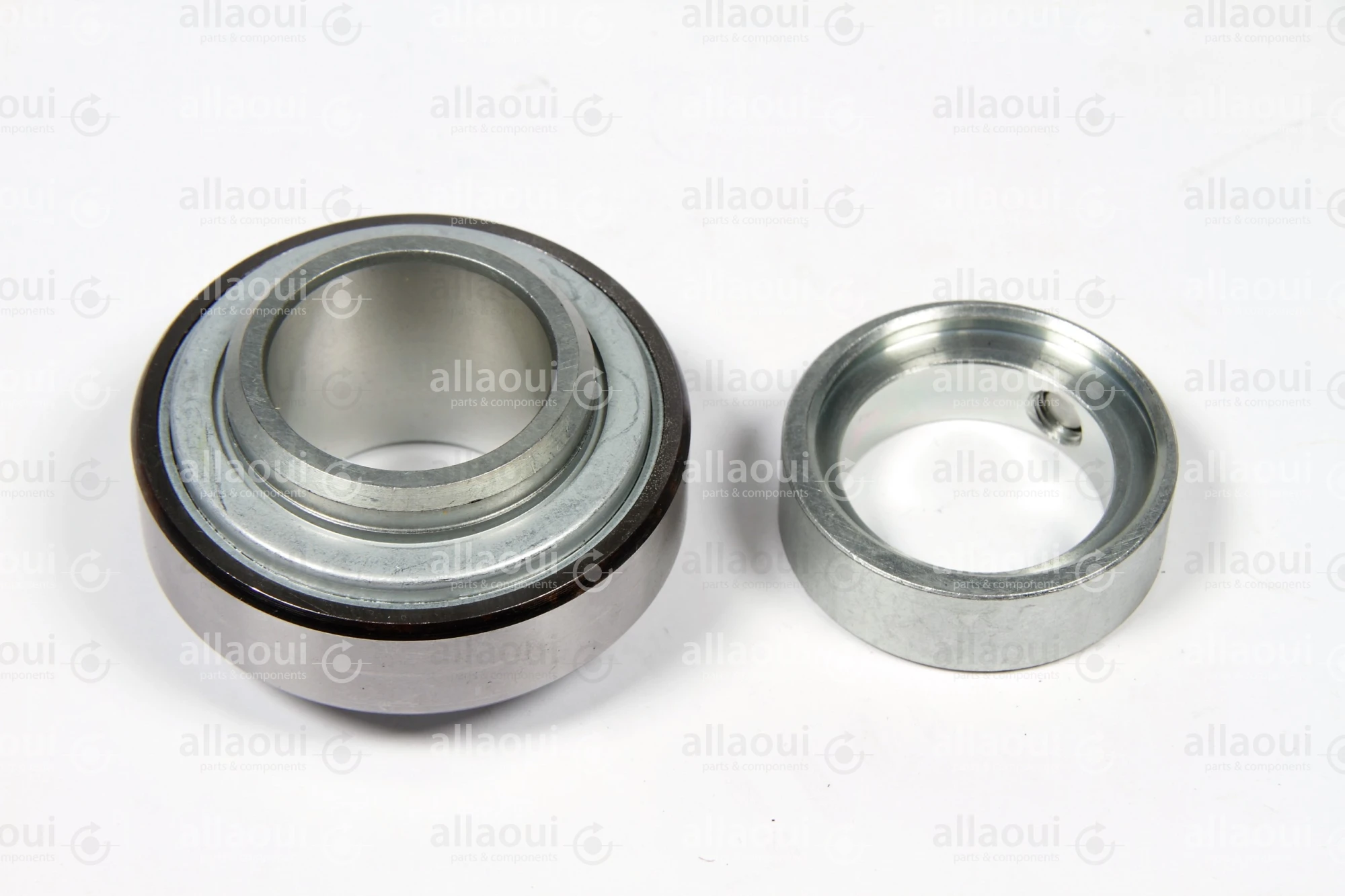 INA Roller Bearing F-231370